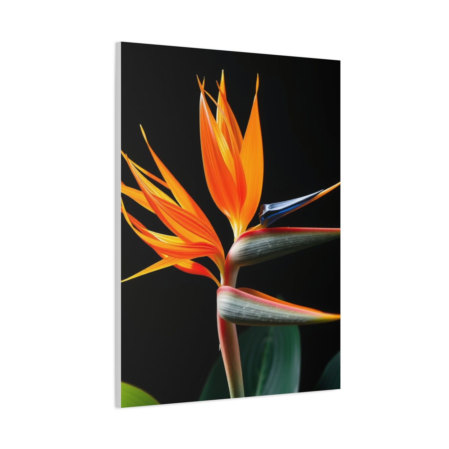 Bird of Paradise Plant Art Luxury Canvas Wall Art & Canvas Print