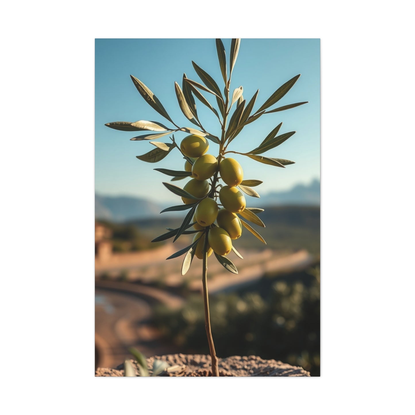 Sublime Verde Collection