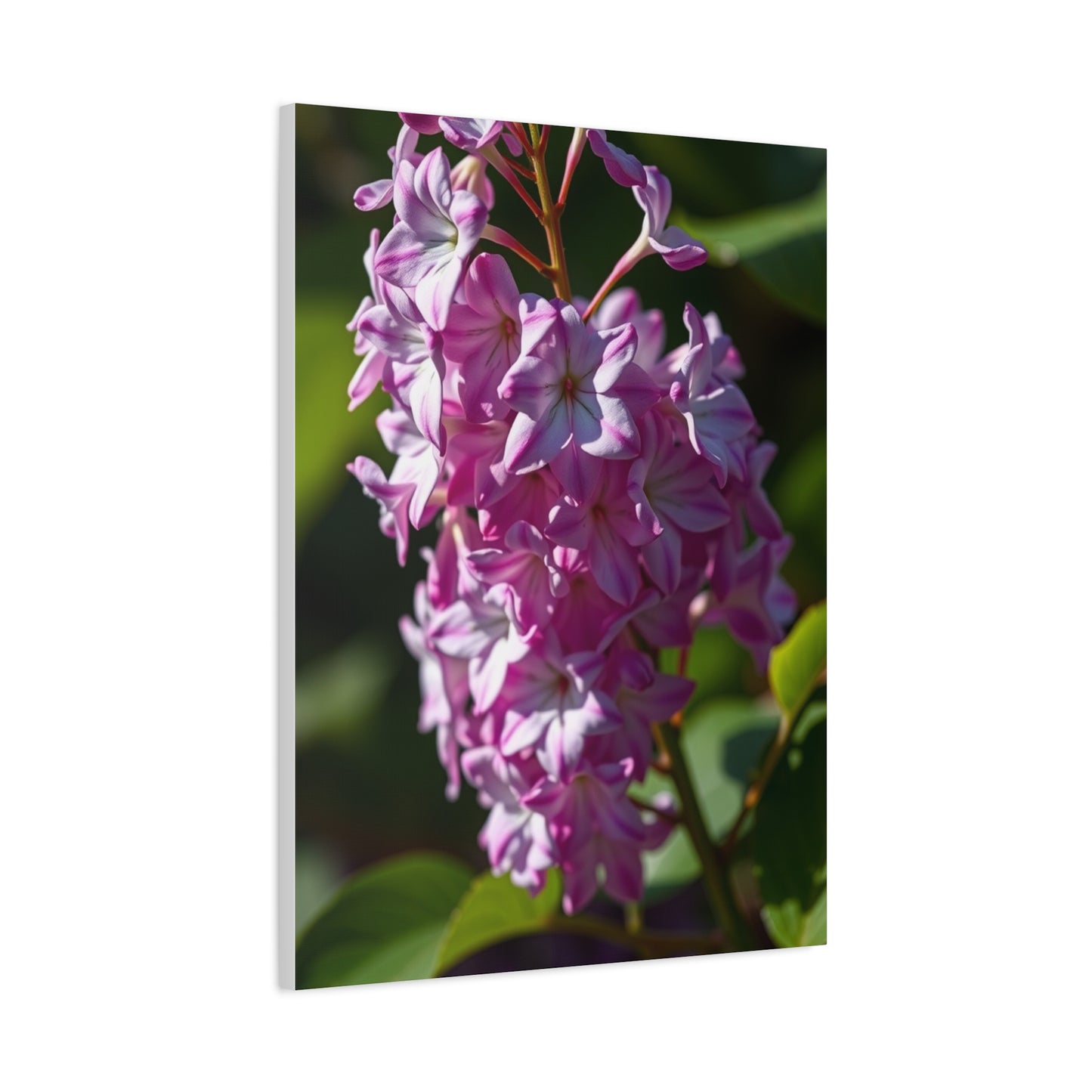 Lilac Flower Art Supreme Gallery Wall Art & Canvas Print