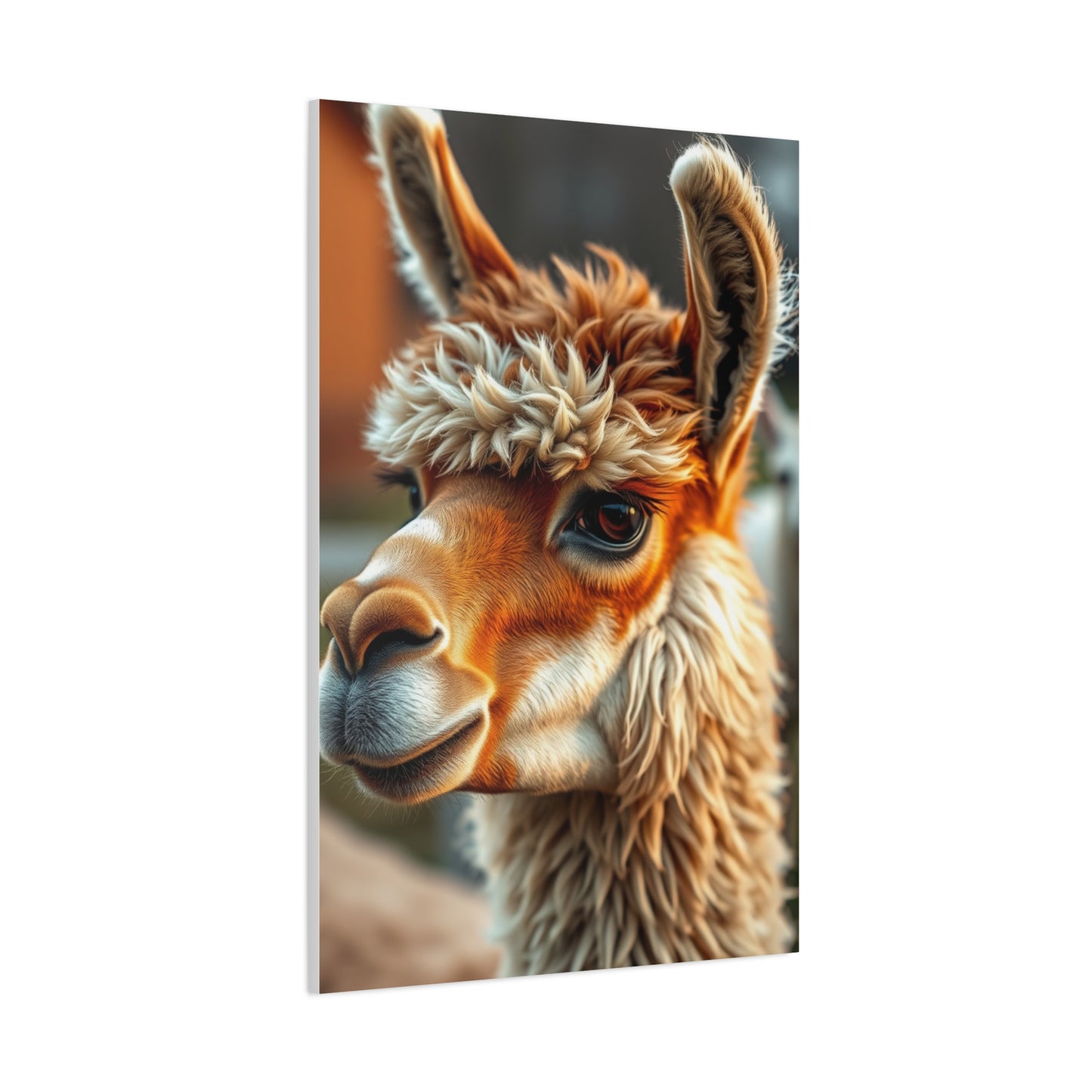 Llama & Alpaca Art Supreme Gallery Wall Art & Canvas Print