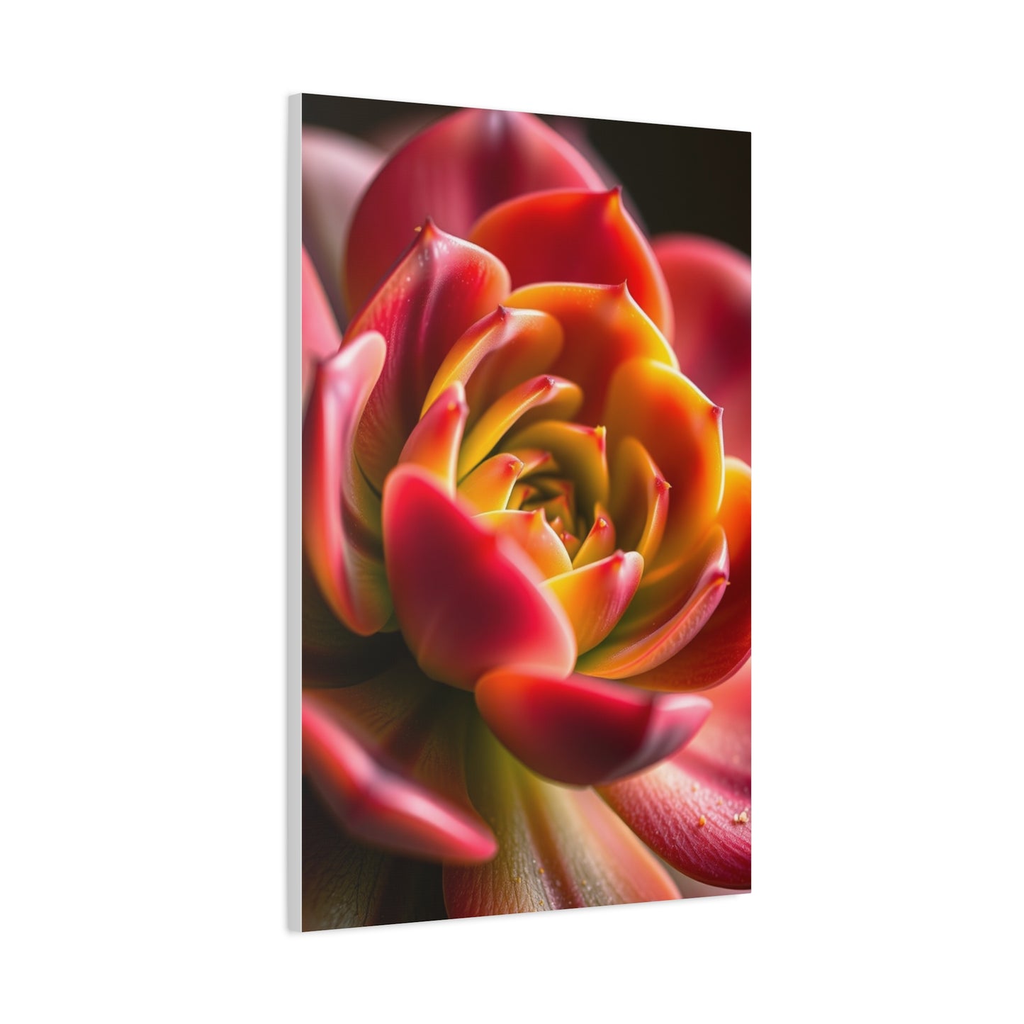 Supreme Succulent Art Collection Wall Art & Canvas Print