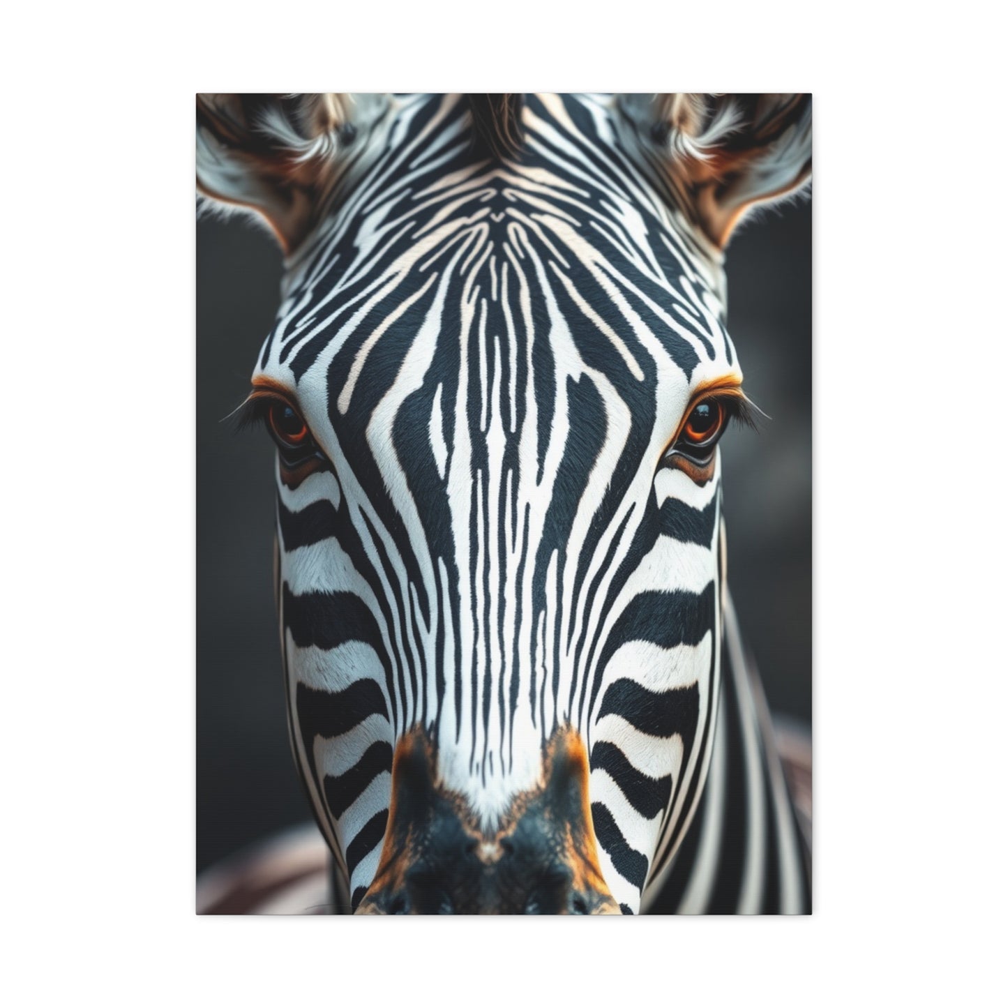 Zebra Art Luxury Canvas Wall Art & Canvas Print