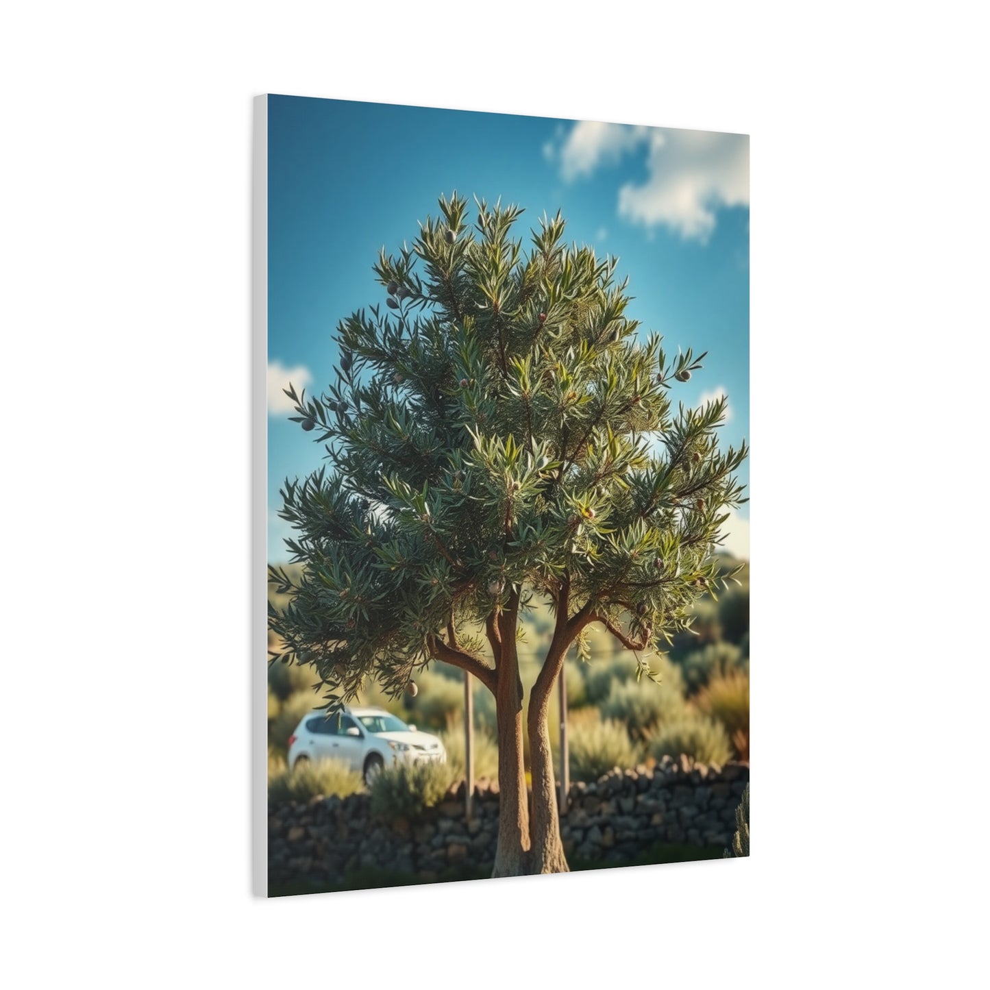 Olive Tree Art Refined Canvas Wall Art & Canvas Print