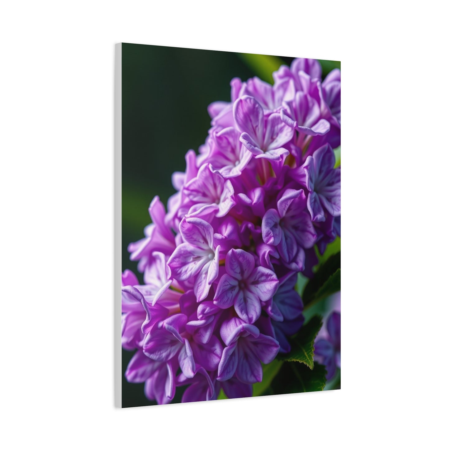Supreme Lilac Flower Art Collection Wall Art & Canvas Print