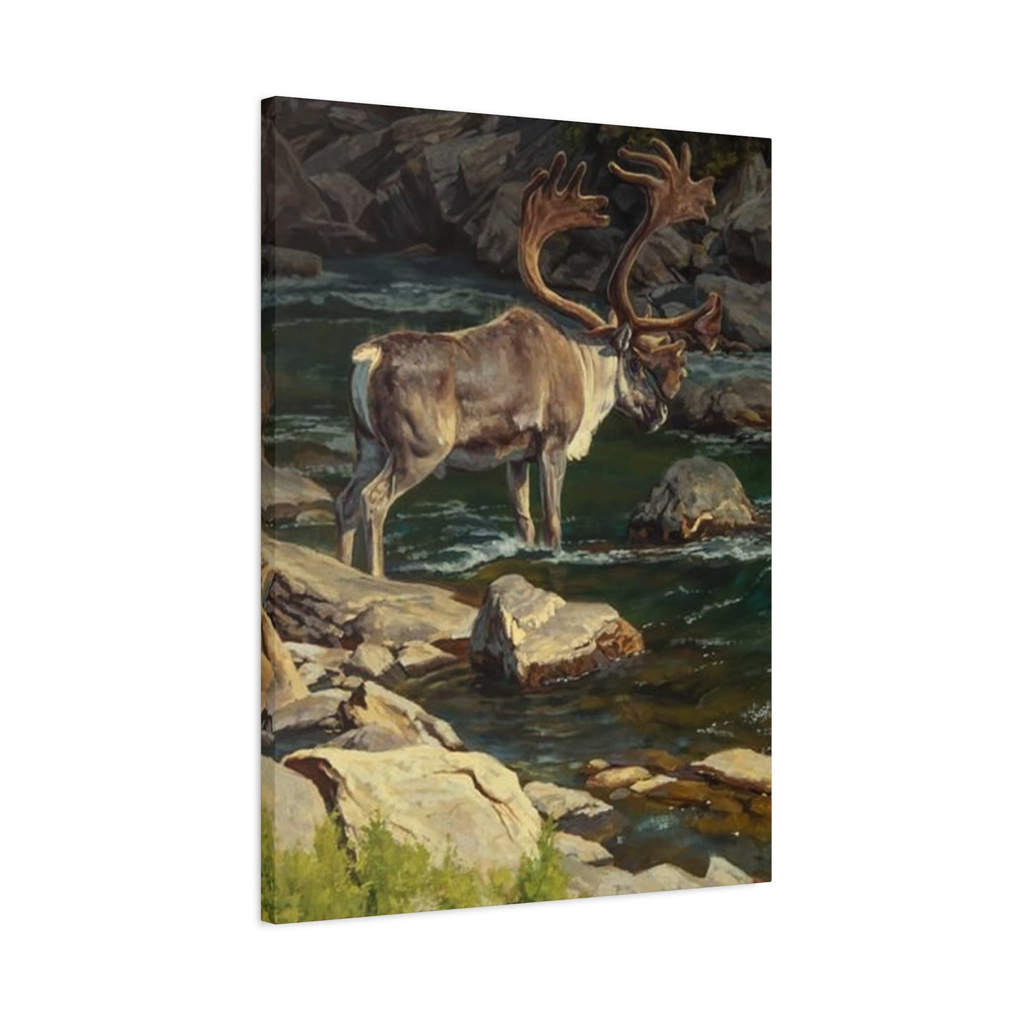 Reindeer Photography Wall Art & Canvas Prints