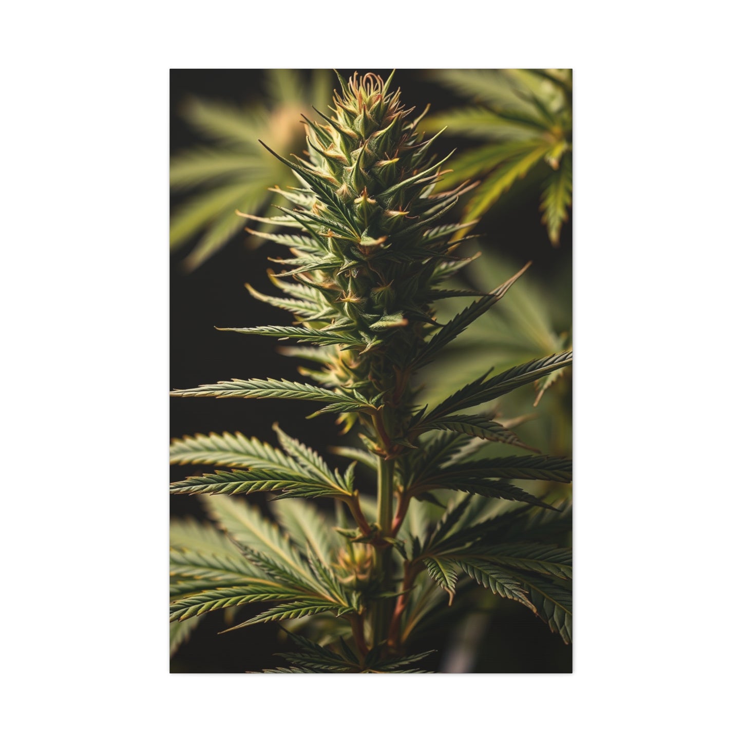 Verdant Elegance Canvas Wall Art & Canvas Print