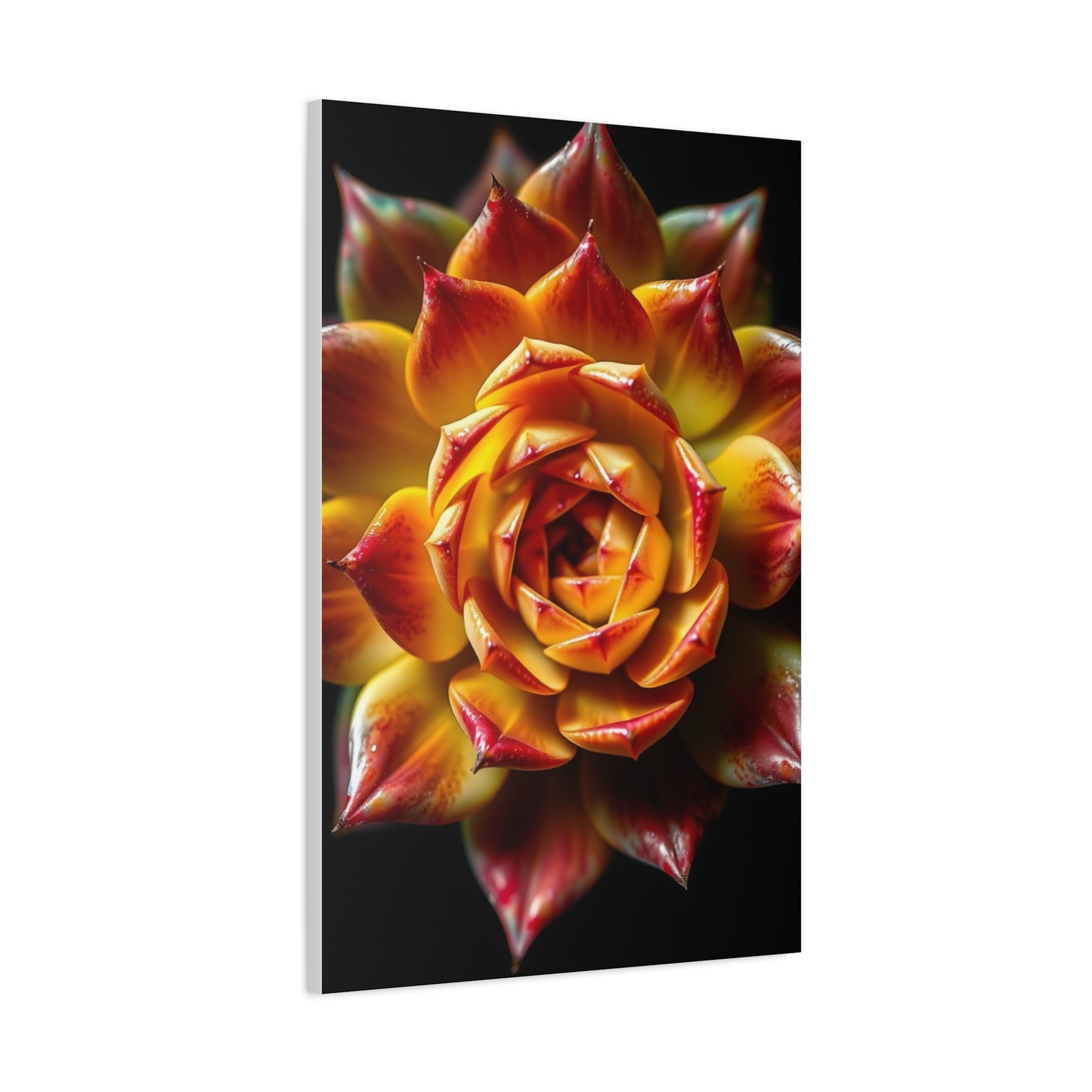 Supreme Succulent Art Collection Wall Art & Canvas Print