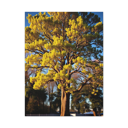 Lush Canopy Collection Wall Art & Canvas Print