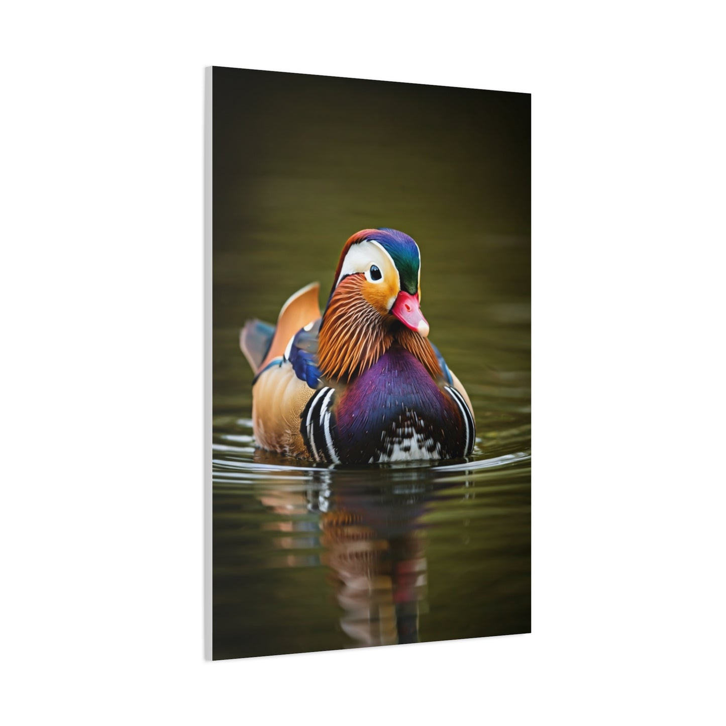 Mandarin Duck with Colorful Plumage Wall Art & Canvas Prints