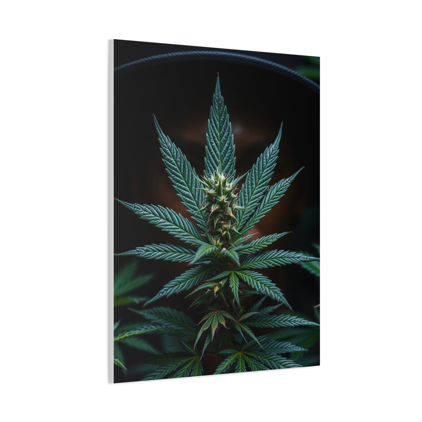 The Emerald Odyssey Wall Art & Canvas Print