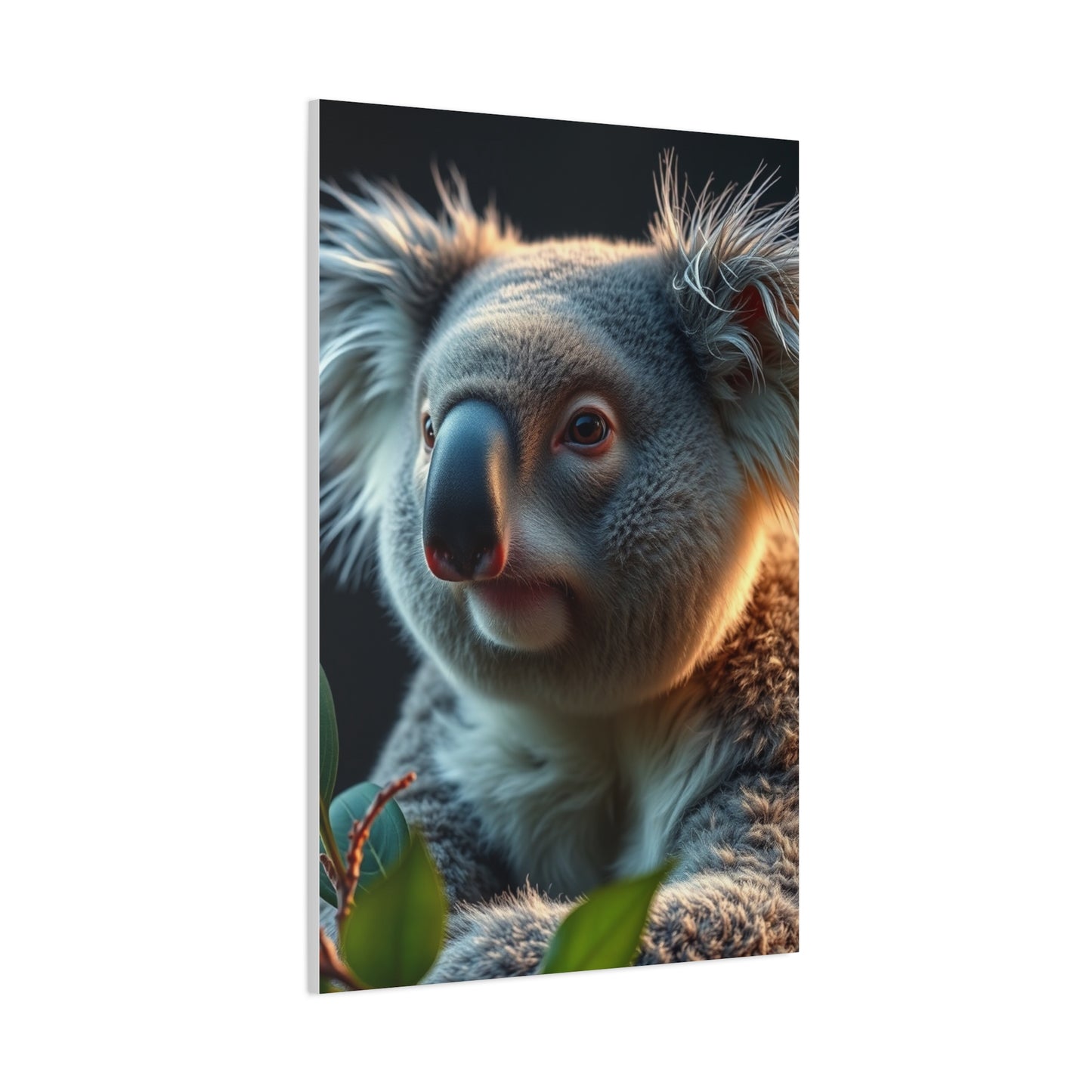 Supreme Koala Art Collection Wall Art & Canvas Print