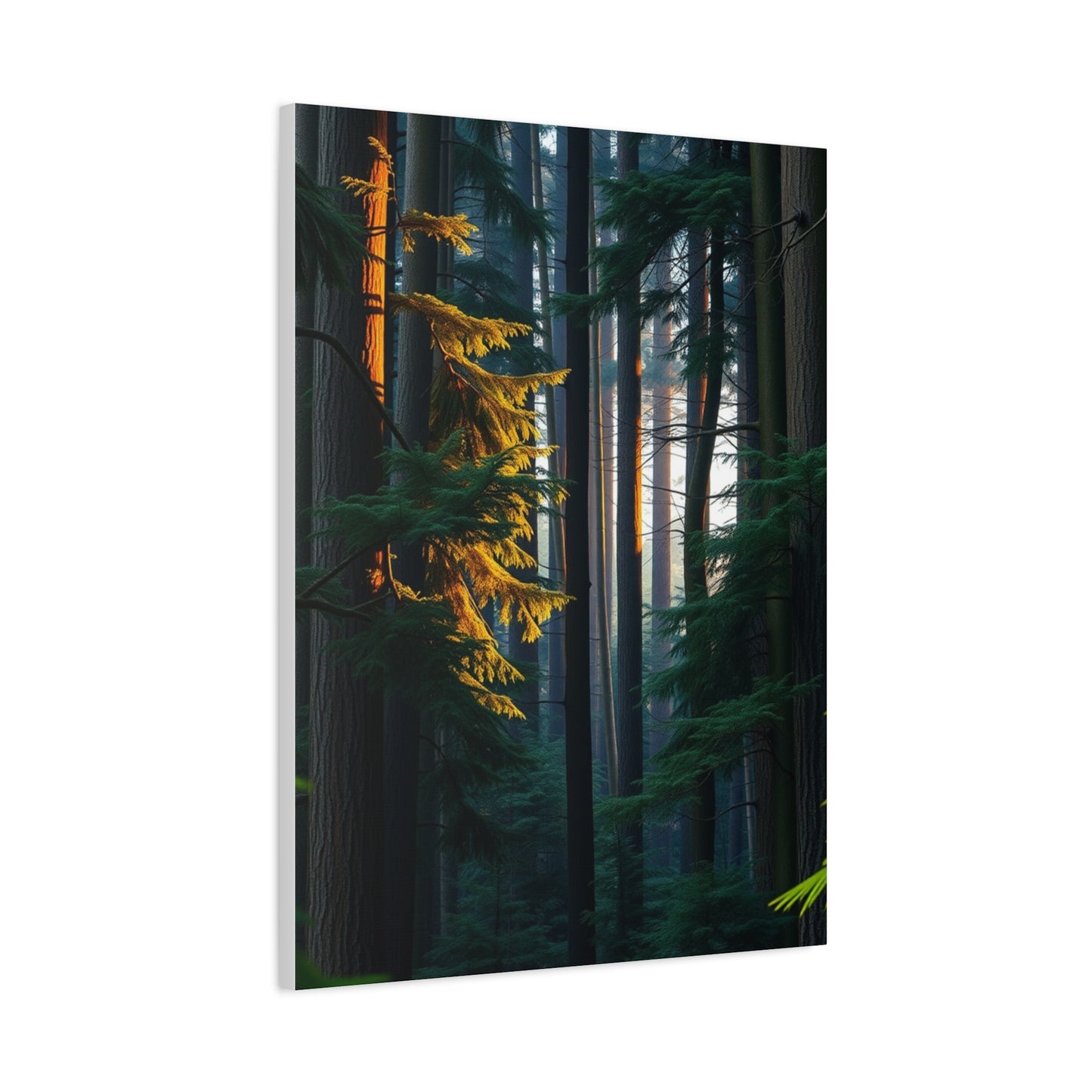 Mystic Woodland Tableau Wall Art & Canvas Print