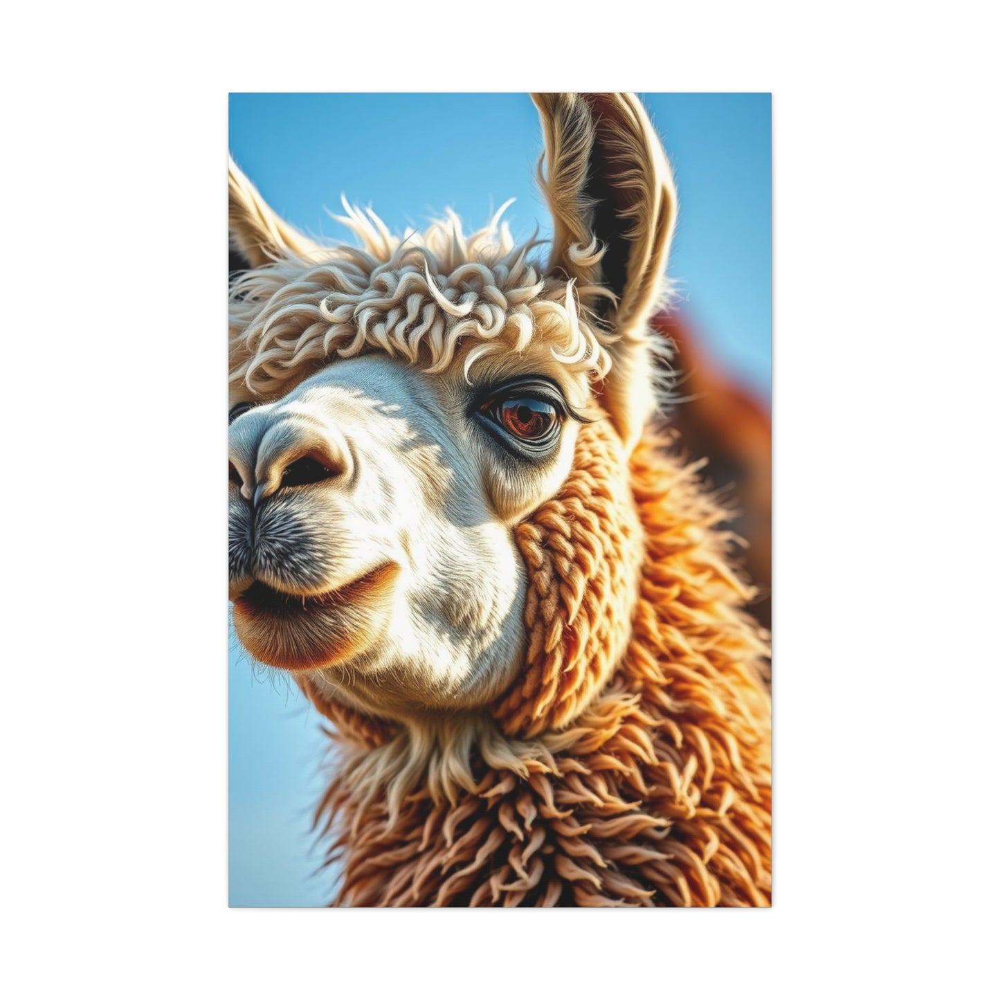 Supreme Llama & Alpaca Art Collection Wall Art & Canvas Print