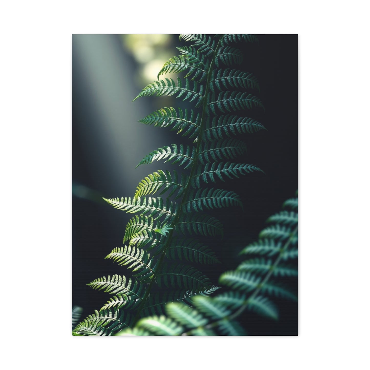 Vision Fern Art Art Wall Art & Canvas Print