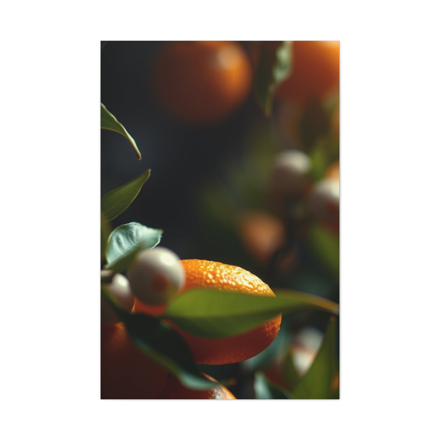 Citrus Elegance Wall Decor Wall Art & Canvas Print