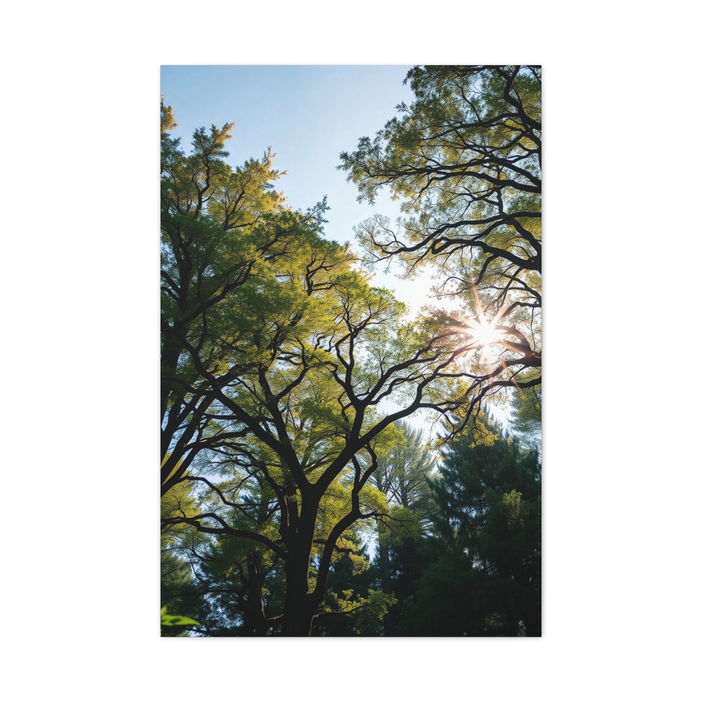 Timeless Woodland Tapestry Wall Art & Canvas Print