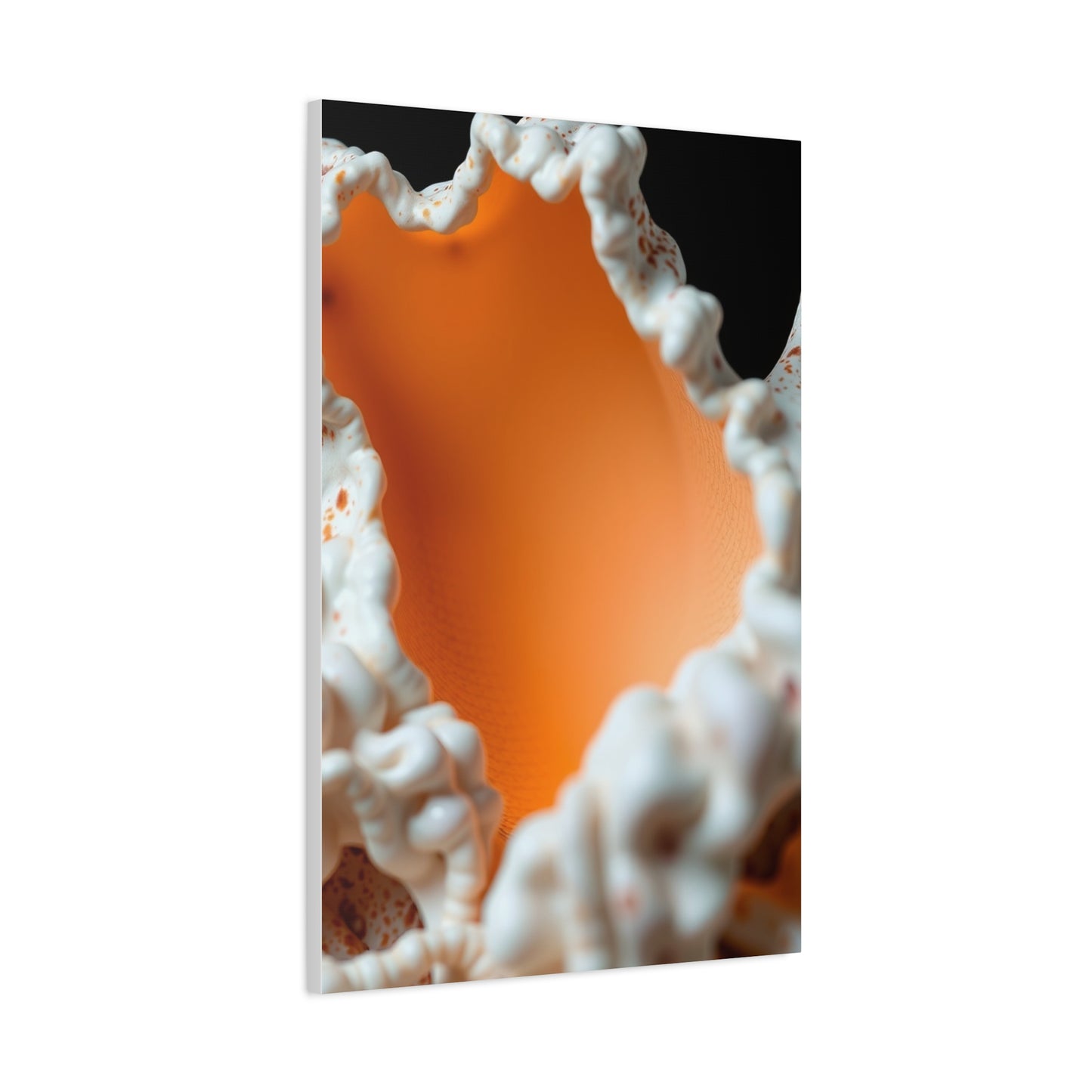 Supreme Sea Shell Art Collection Wall Art & Canvas Print