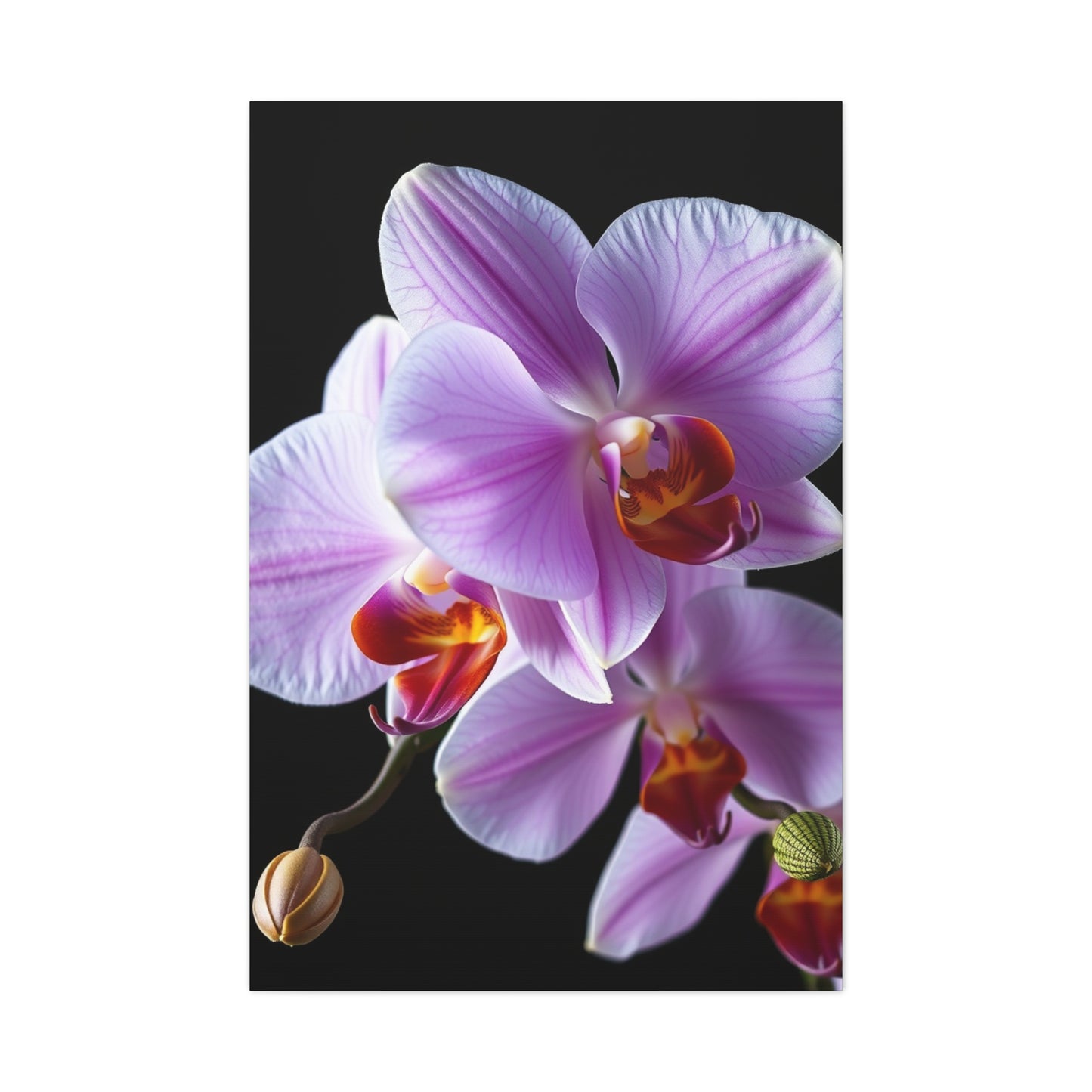 Orchid Flower Art Luxury Canvas Wall Art & Canvas Print