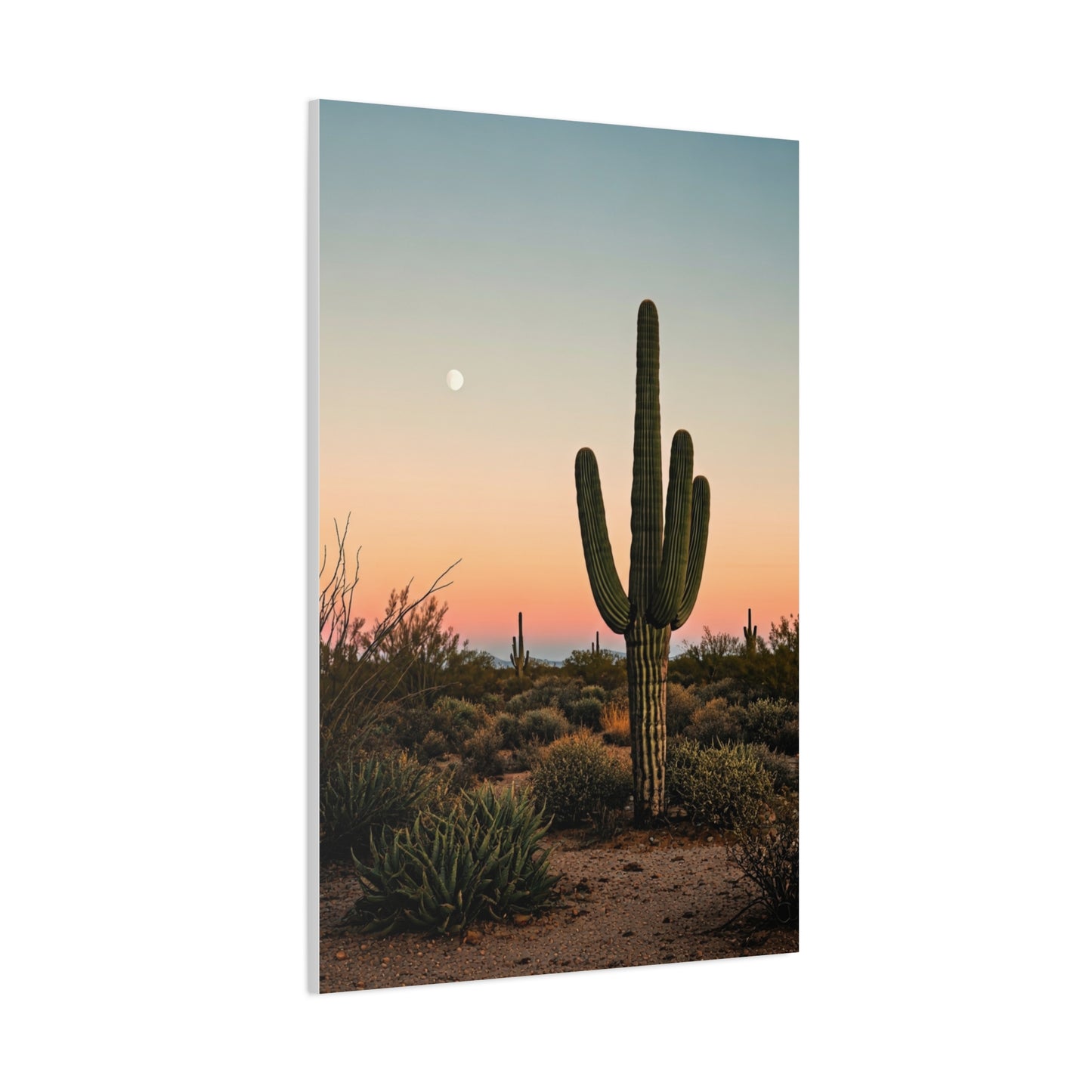 Golden Sunset Saguaro Landscape Wall Art & Canvas Prints