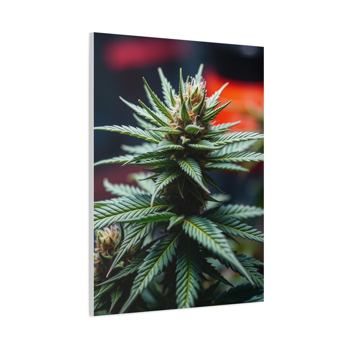 Herbaceous Ambience Gallery Wall Art & Canvas Print