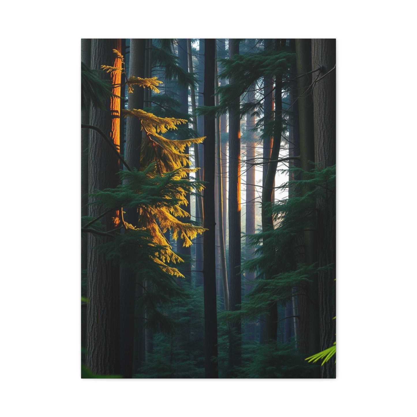 Mystic Woodland Tableau Wall Art & Canvas Print