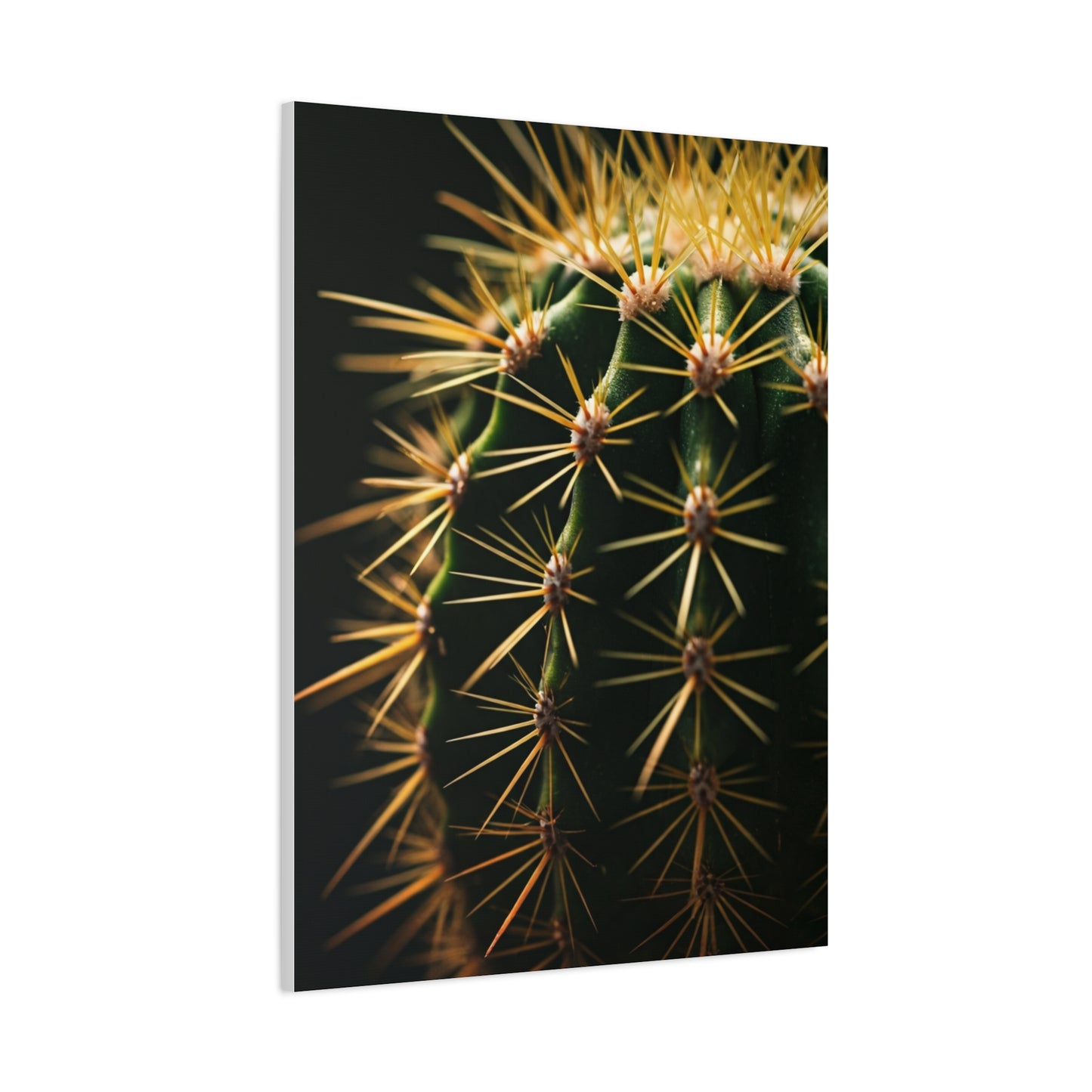 Desert Geometry Cactus Close-Up Wall Art & Canvas Prints