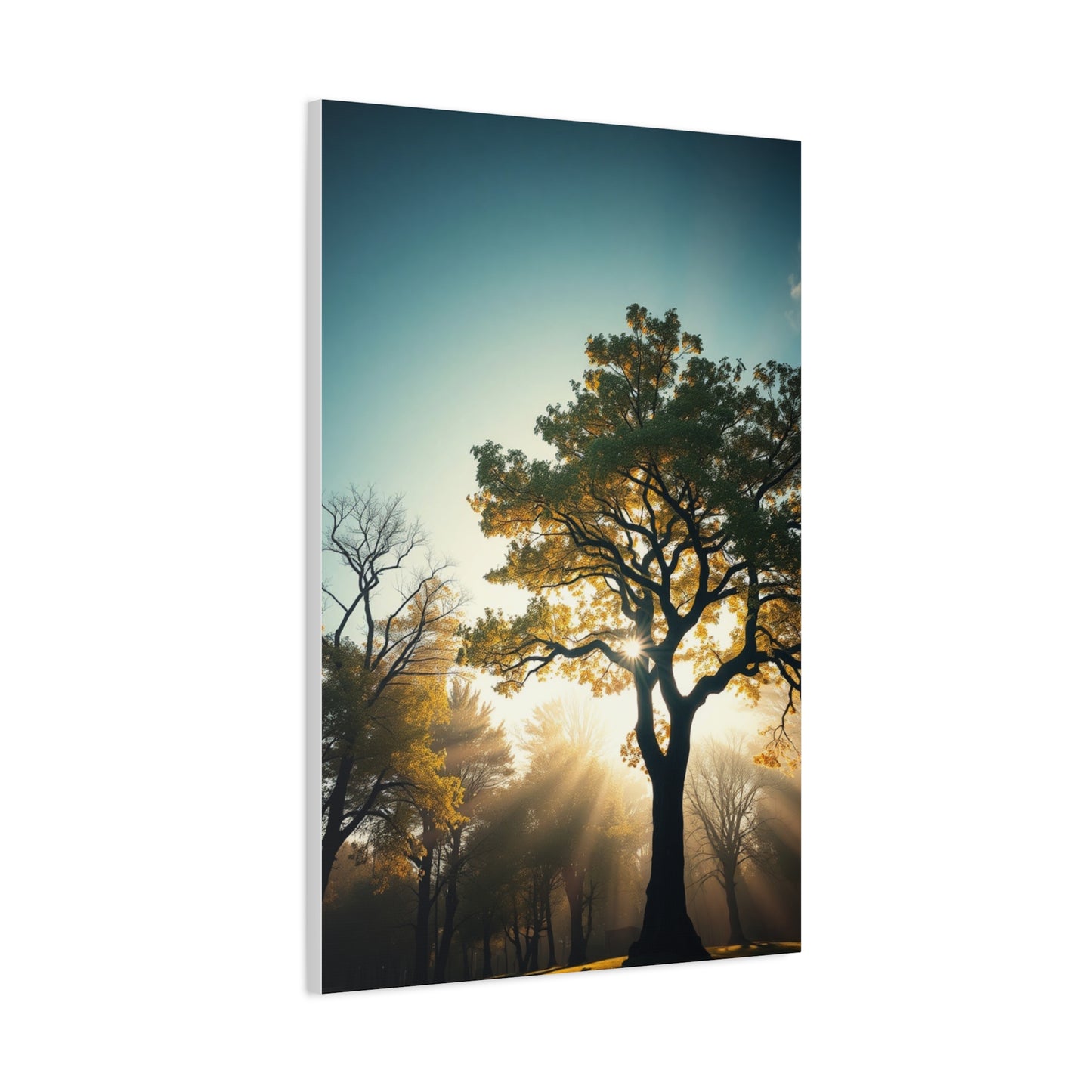 Serene Timberland Canvas Wall Art & Canvas Print