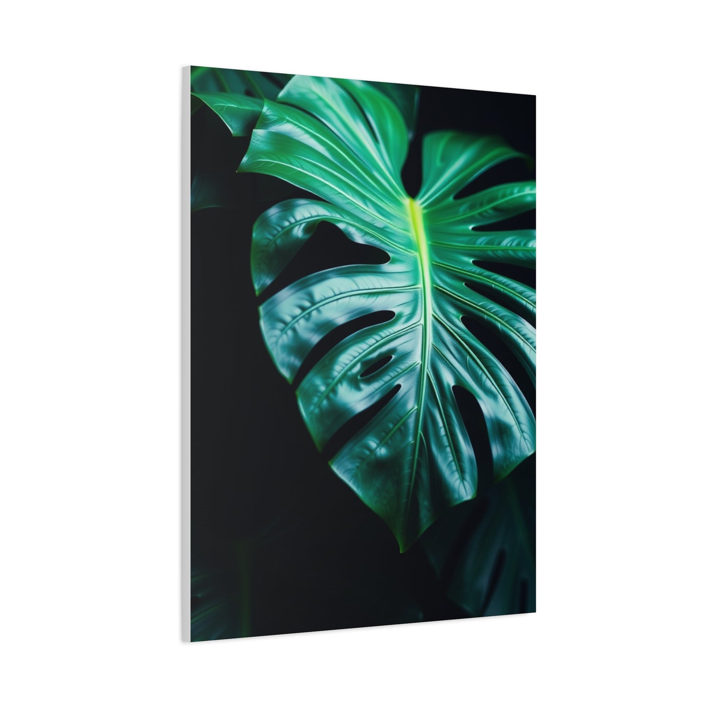 Monstera Plant Art Luxury Canvas Wall Art & Canvas Print