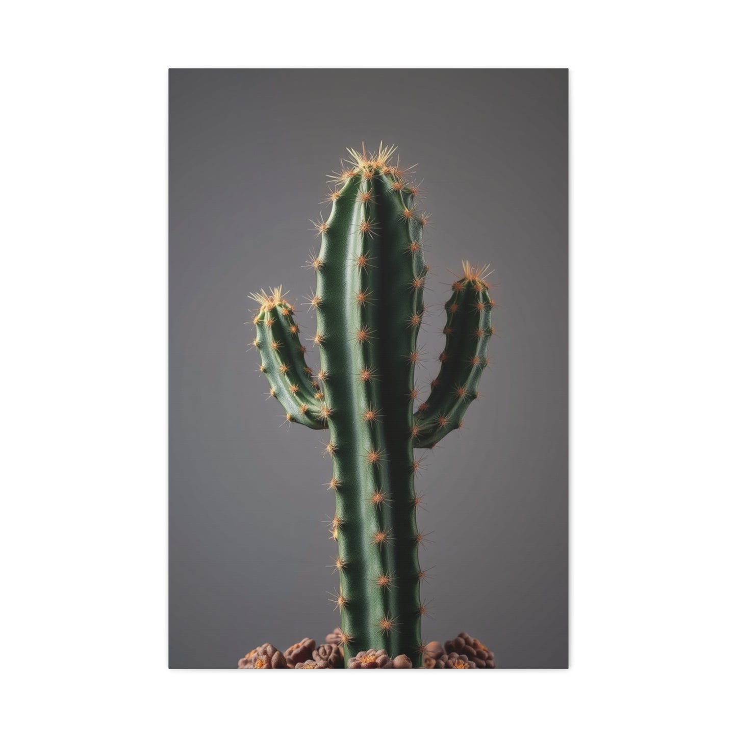 Succulent Reverie Art Wall Art & Canvas Print