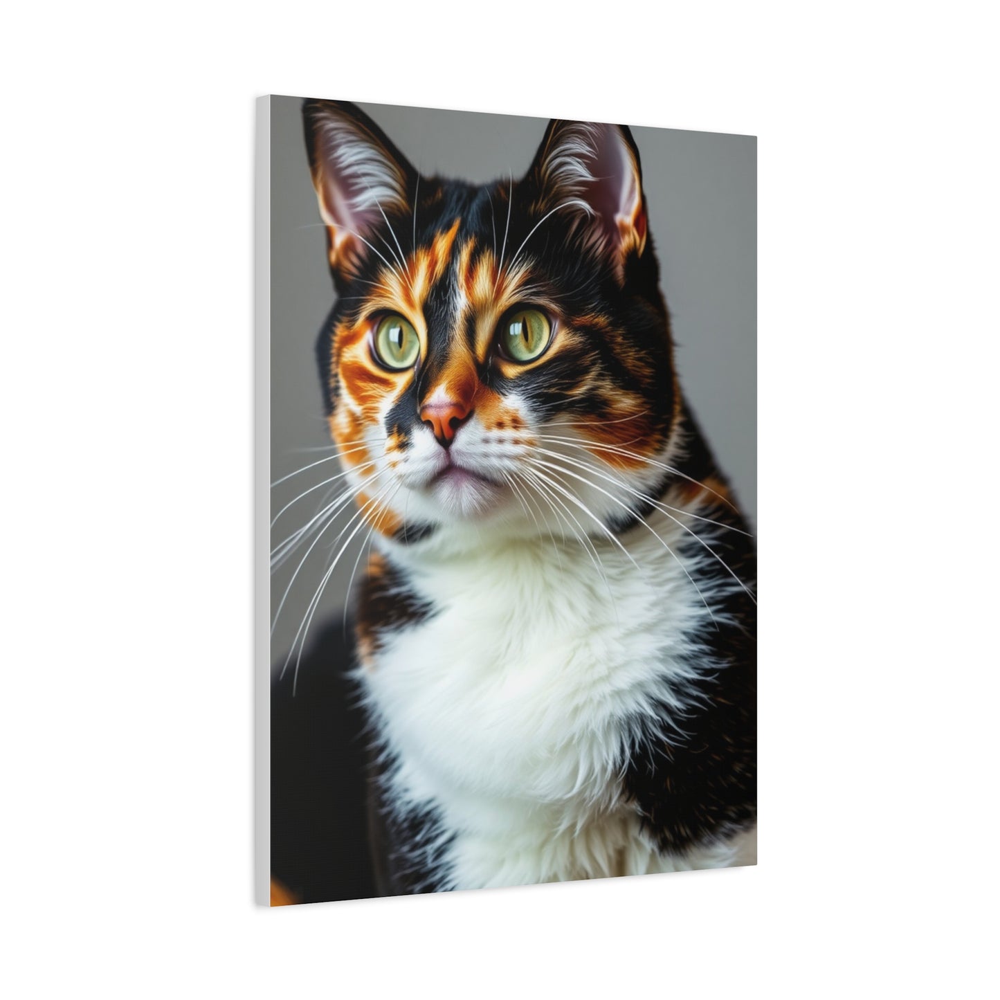 Calico Cat Art Supreme Gallery Wall Art & Canvas Print