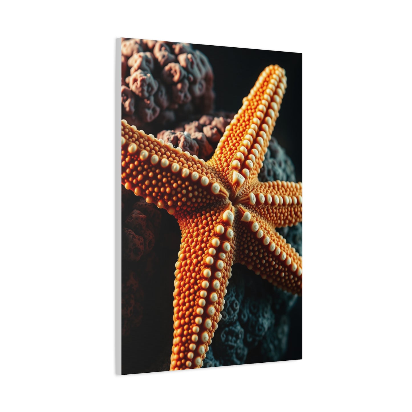 Collection Starfish Art Art Wall Art & Canvas Print