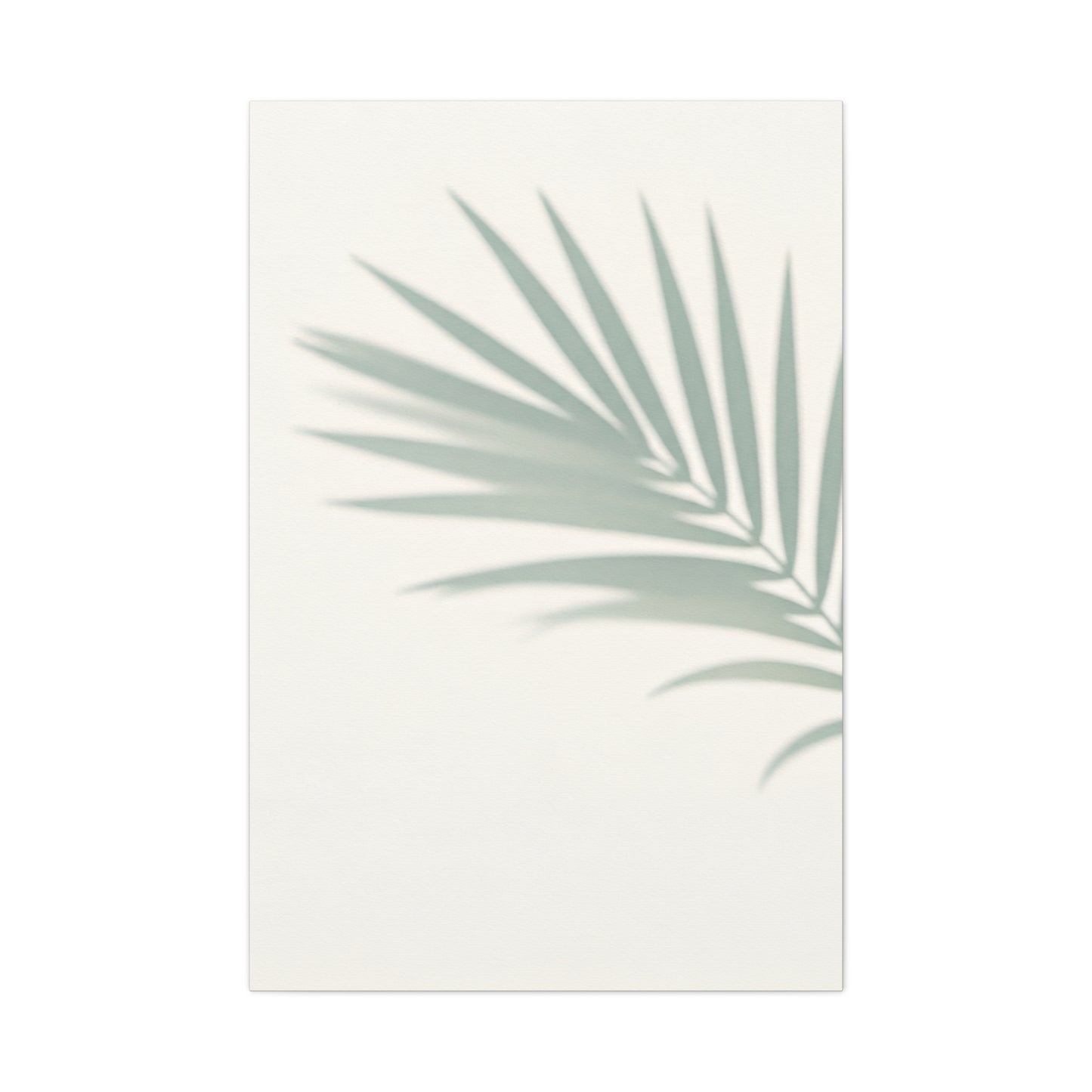 Soft Palm Frond Shadow Minimal Wall Art & Canvas Prints