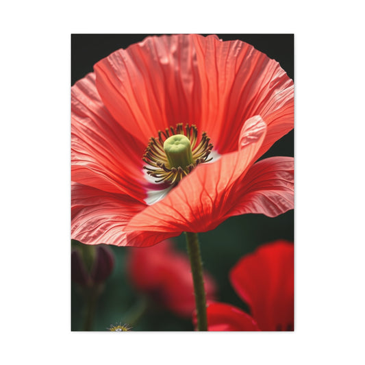 Poppy Flower Art Refined Canvas Wall Art & Canvas Print
