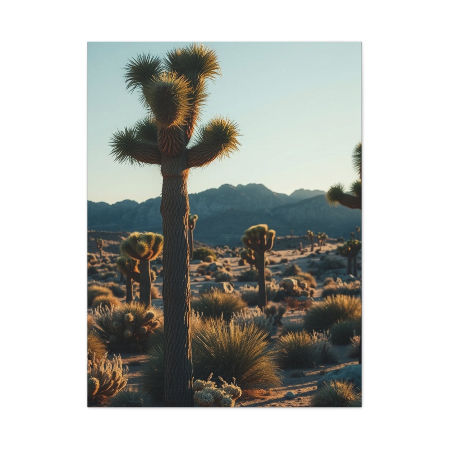 Elite Joshua Tree National Park Art Vision Wall Art & Canvas Print