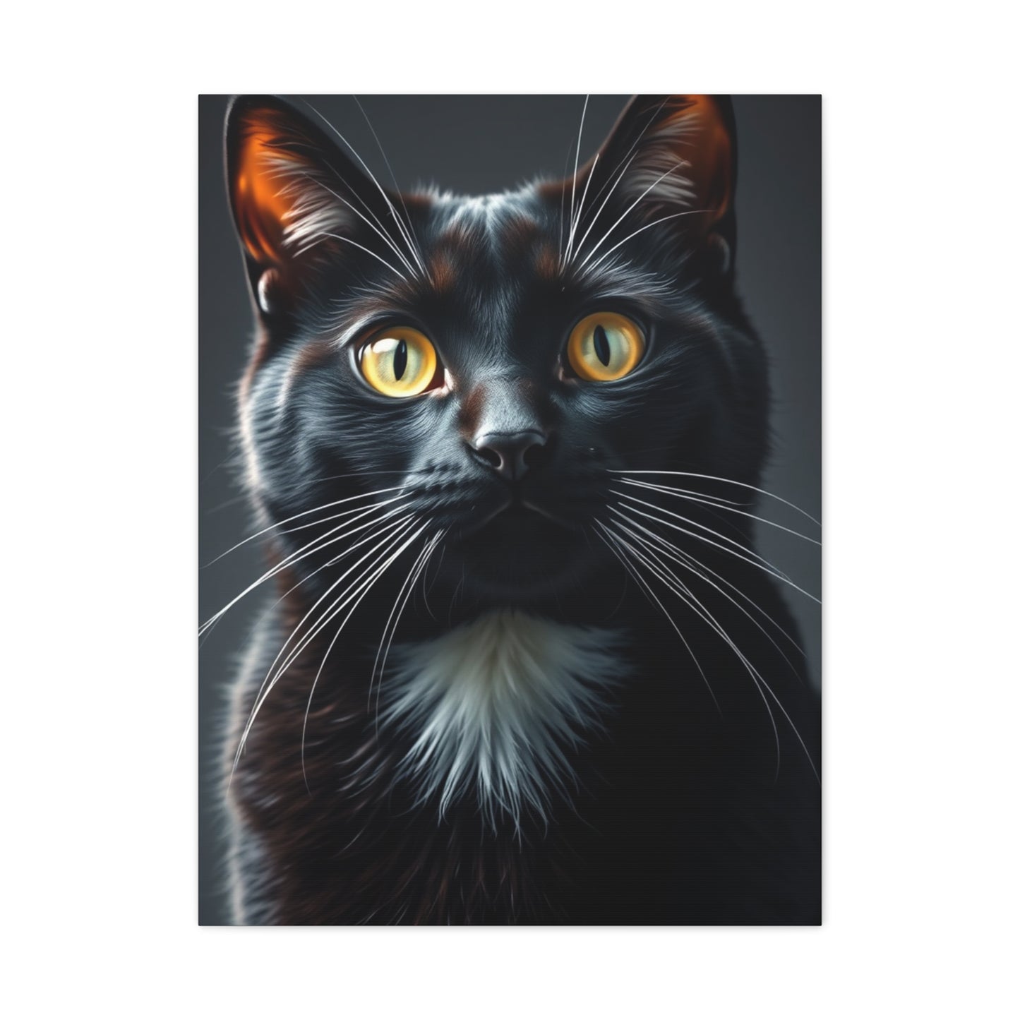 Supreme Tuxedo Cat Art Collection Wall Art & Canvas Print
