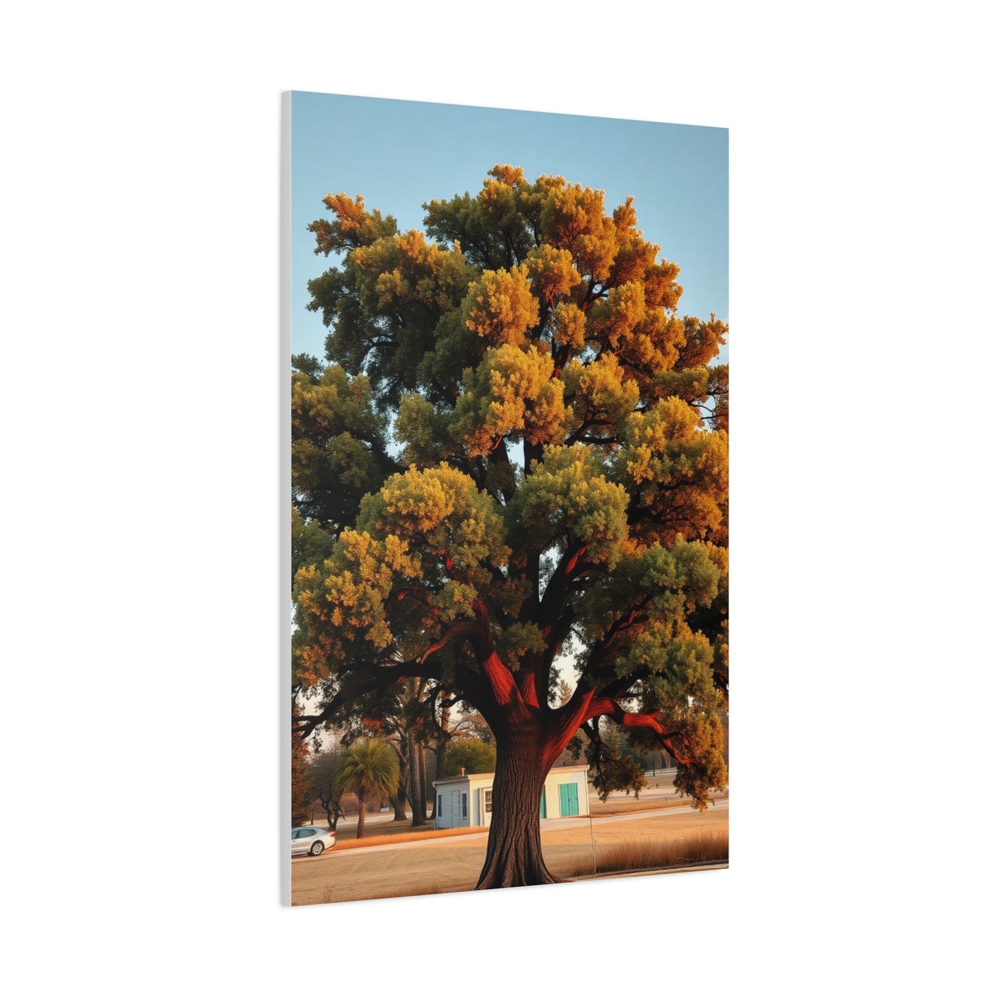 Oak Tree Art Luxury Canvas Wall Art & Canvas Print