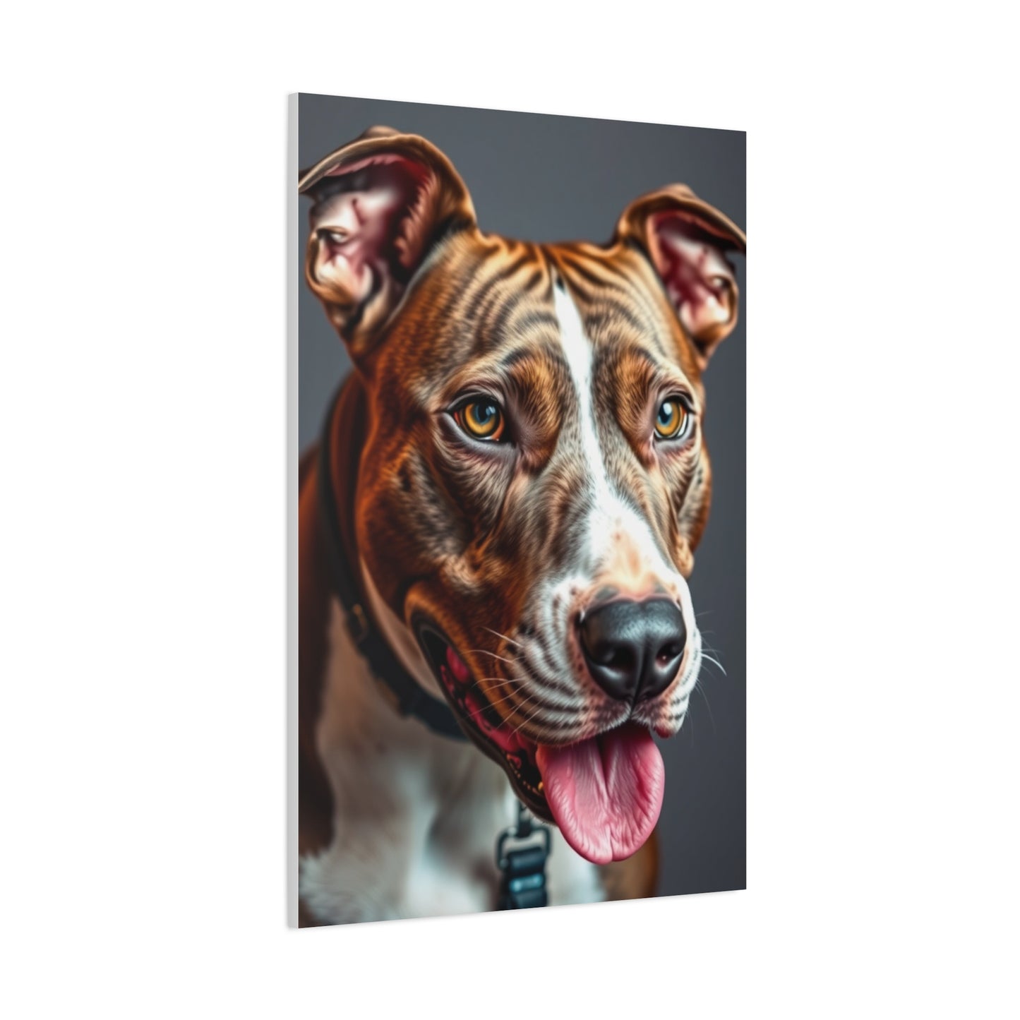 Supreme Pit Bull Art Collection Wall Art & Canvas Print