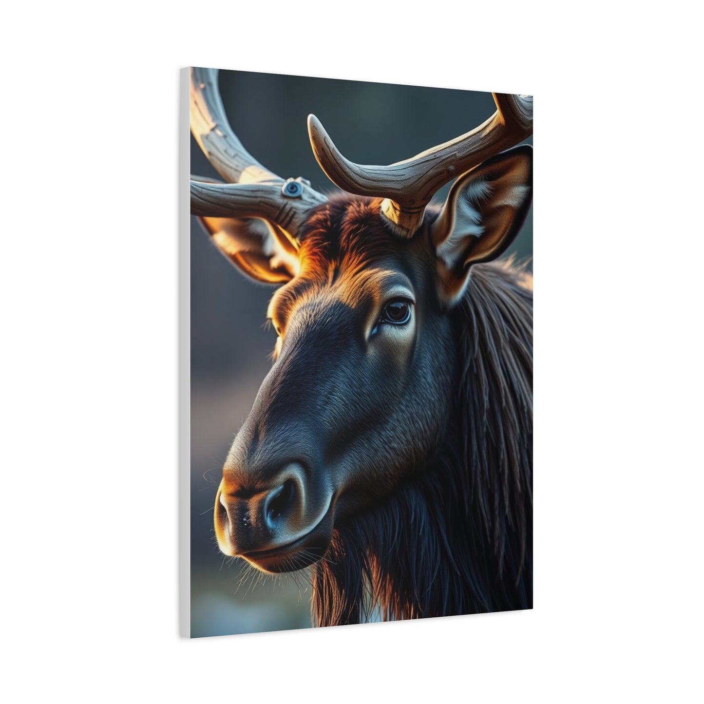 Elk Art Supreme Gallery Wall Art & Canvas Print