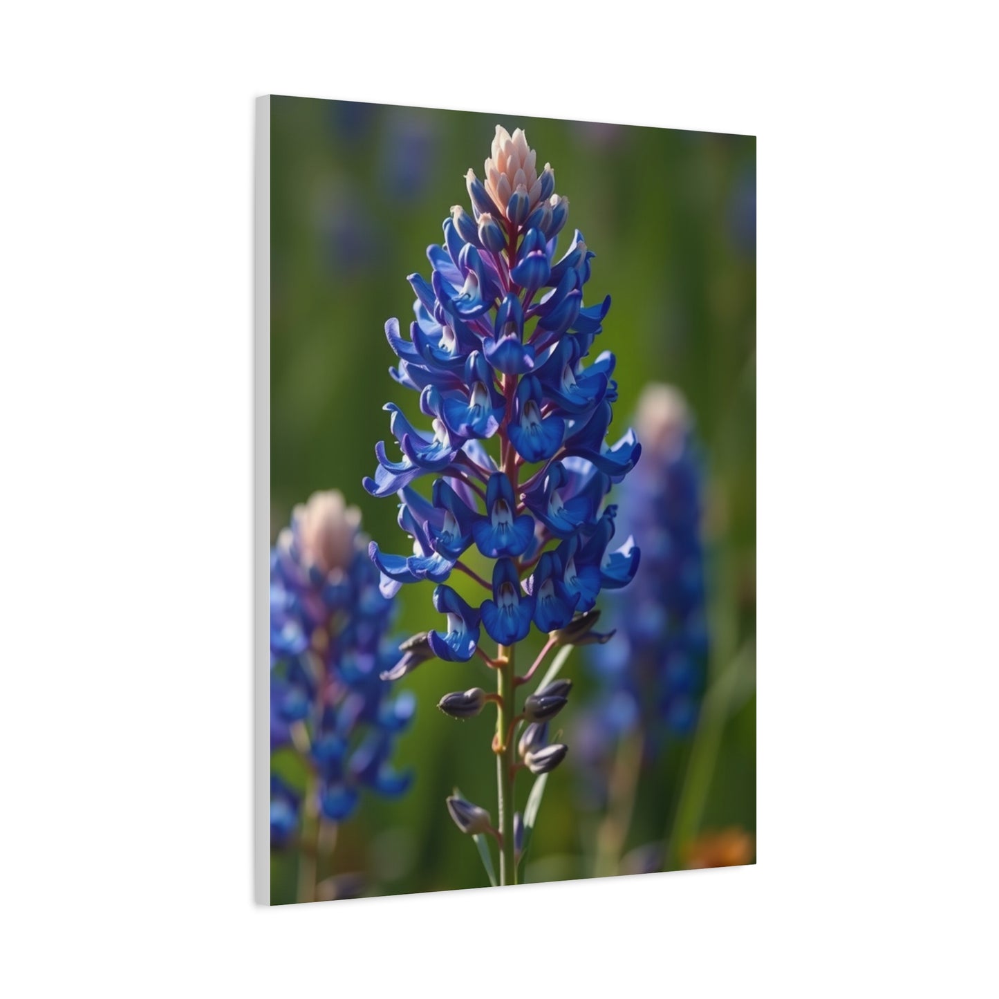 Bluebonnet Flower Art Refined Canvas Wall Art & Canvas Print