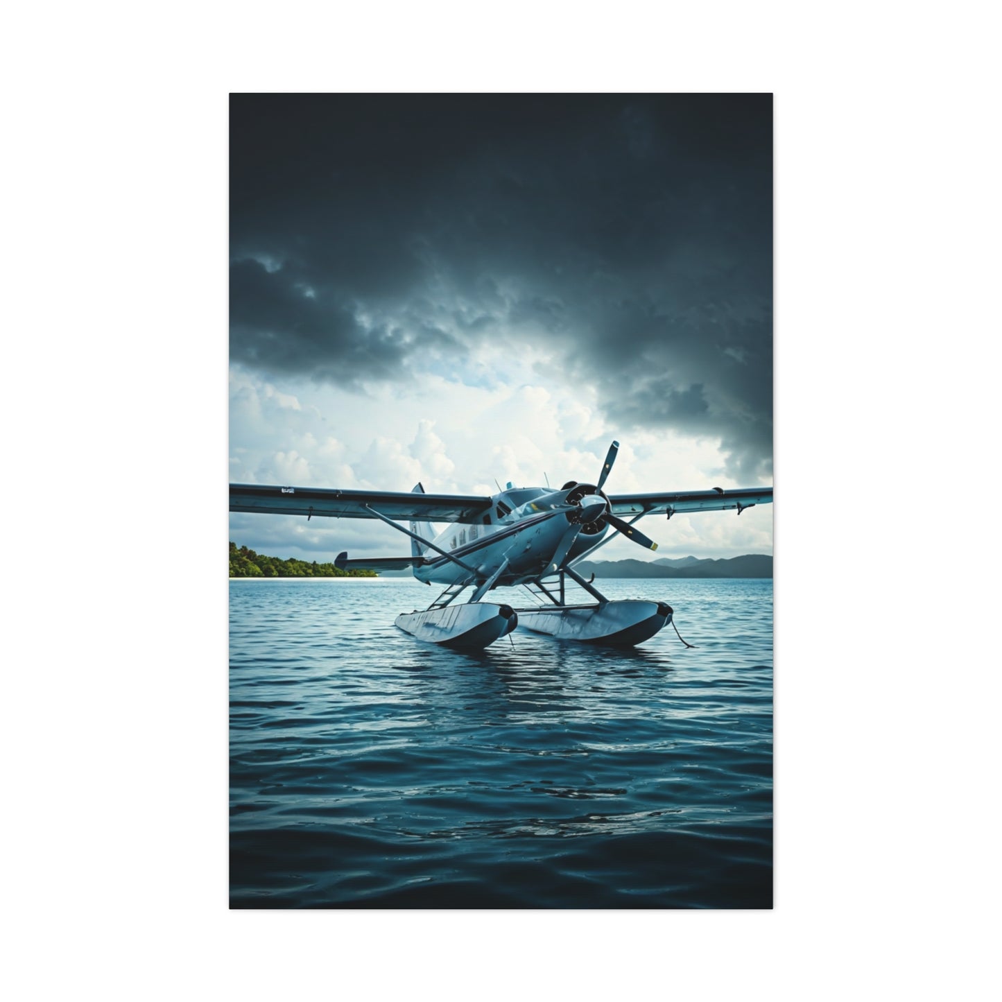 Seaplane Landing on Calm Waters Wall Art & Canvas Prints