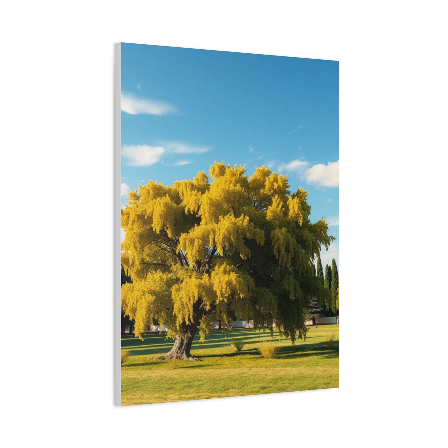 Sylvan Reverie Decor Wall Art & Canvas Print