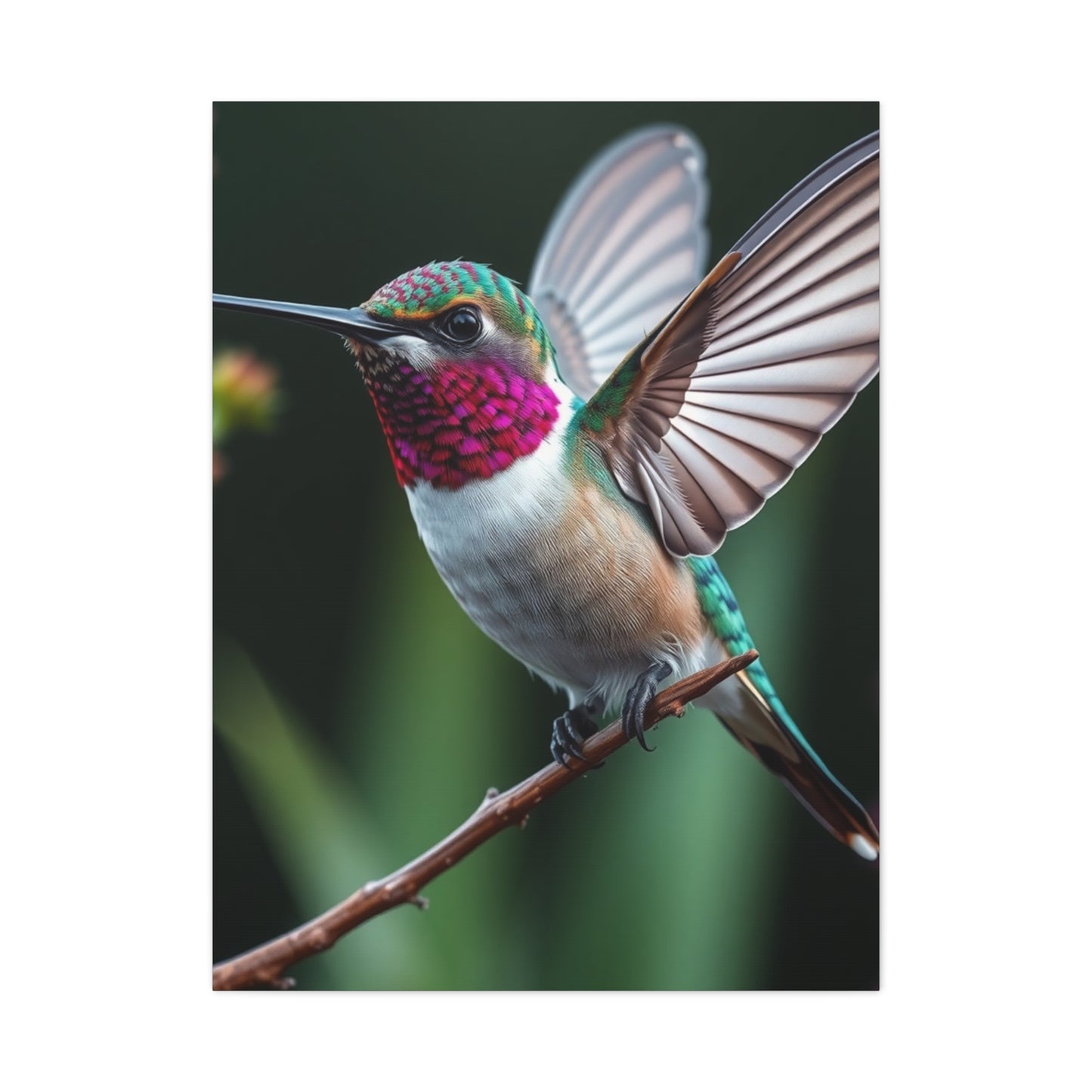 Humming Bird Art Supreme Gallery Wall Art & Canvas Print
