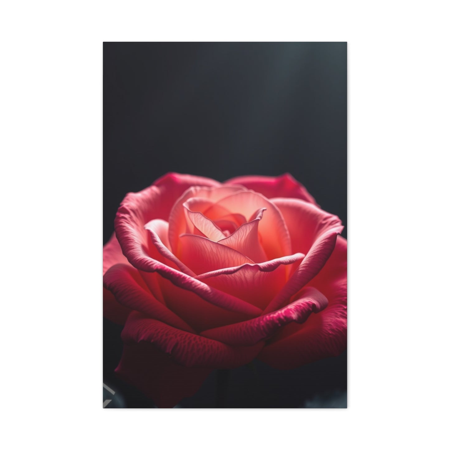 Rose Flower Art Supreme Gallery Wall Art & Canvas Print