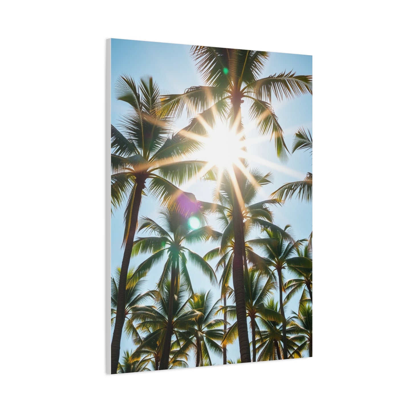 Exquisite Palm Panorama Wall Art & Canvas Print