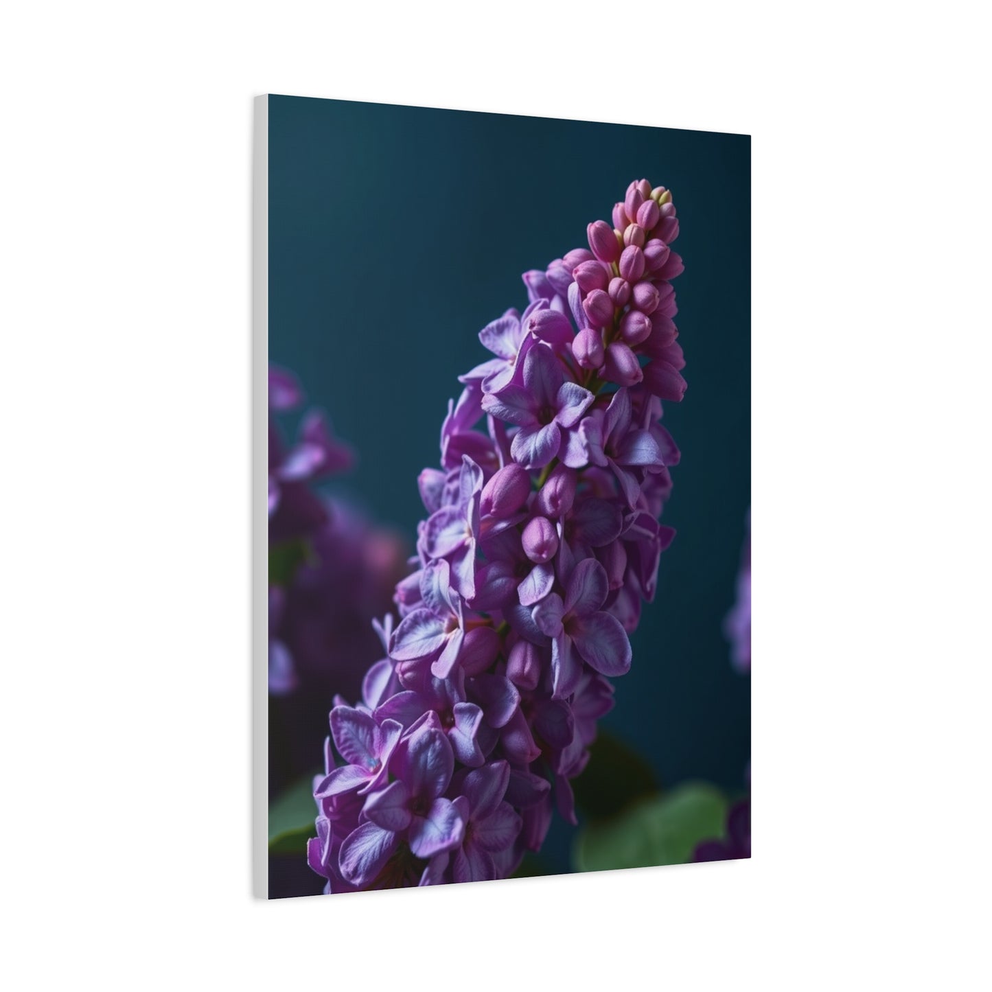 Elite Lilac Flower Art Vision Wall Art & Canvas Print
