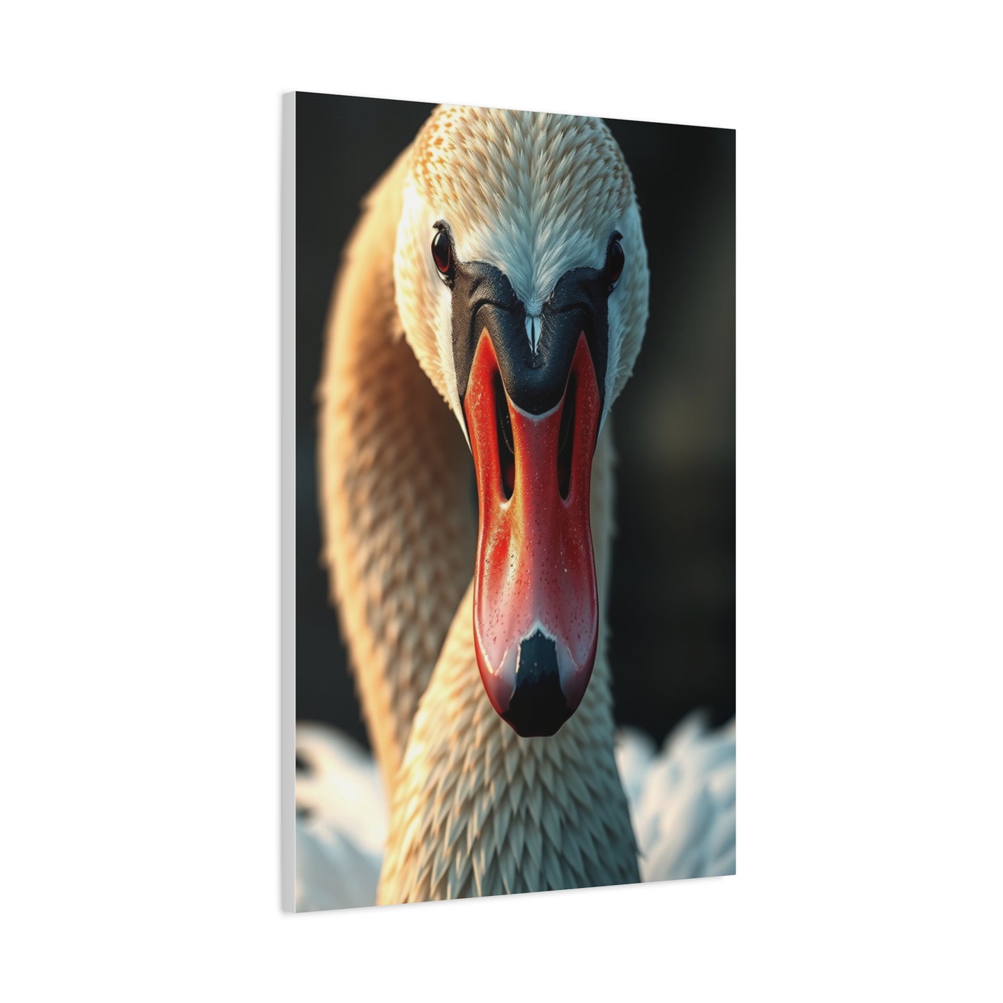 Swan Art Refined Canvas Wall Art & Canvas Print