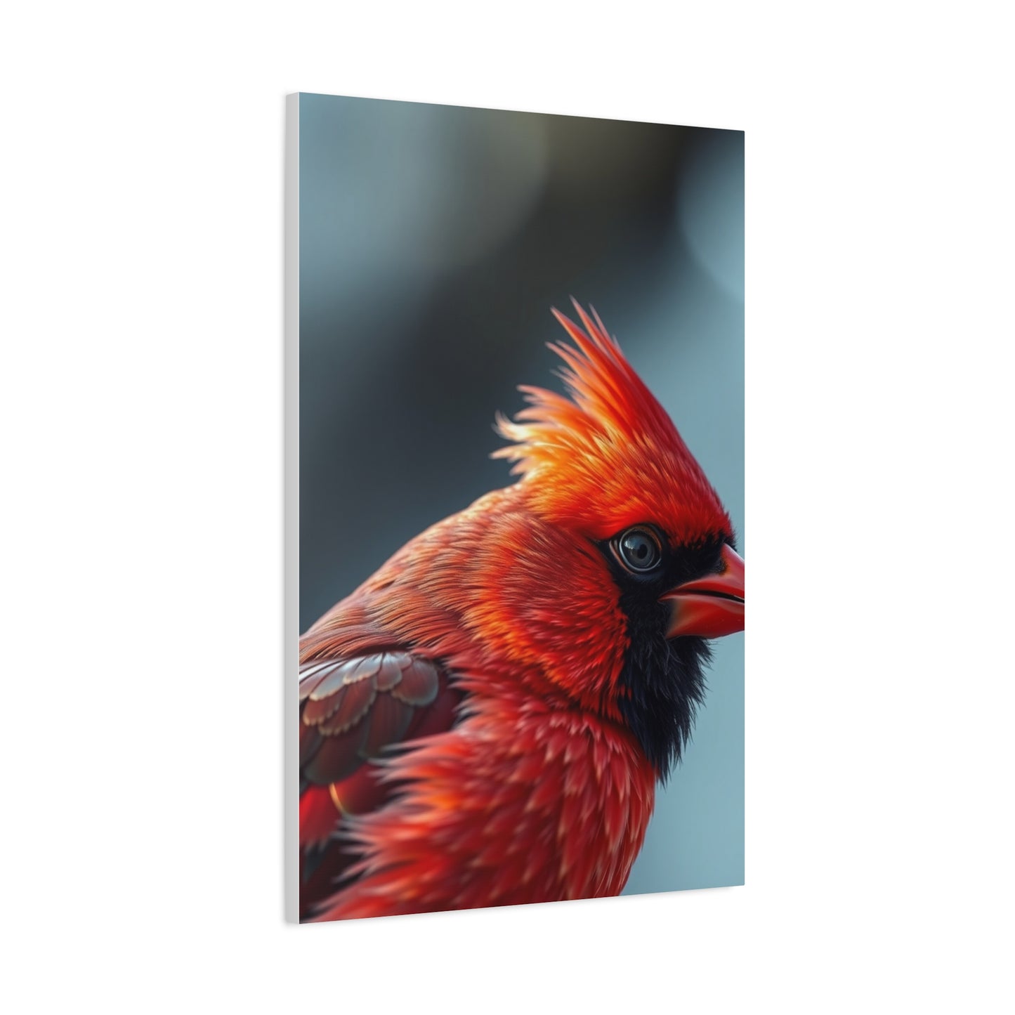 Vision Cardinal Art Art Wall Art & Canvas Print