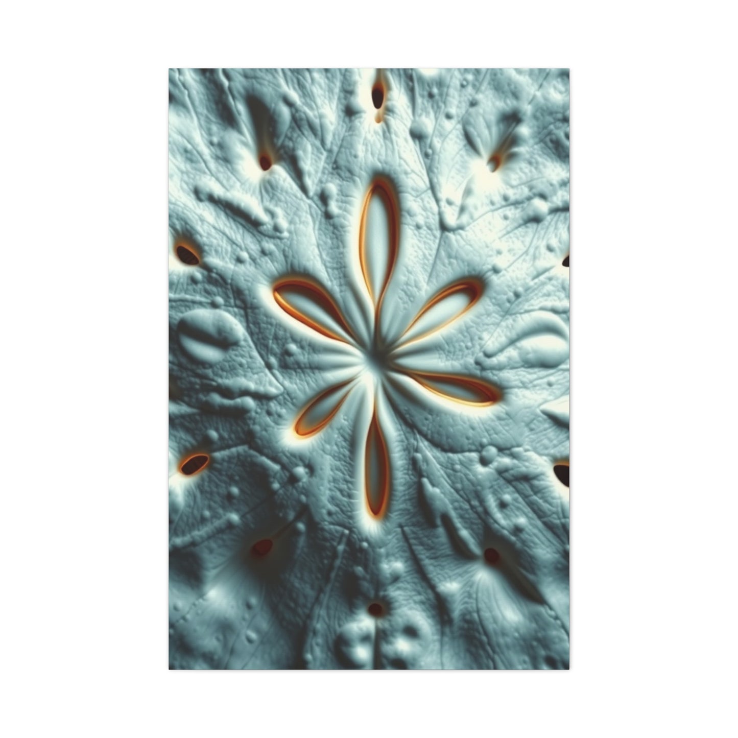 Sand Dollar Art Refined Canvas Wall Art & Canvas Print