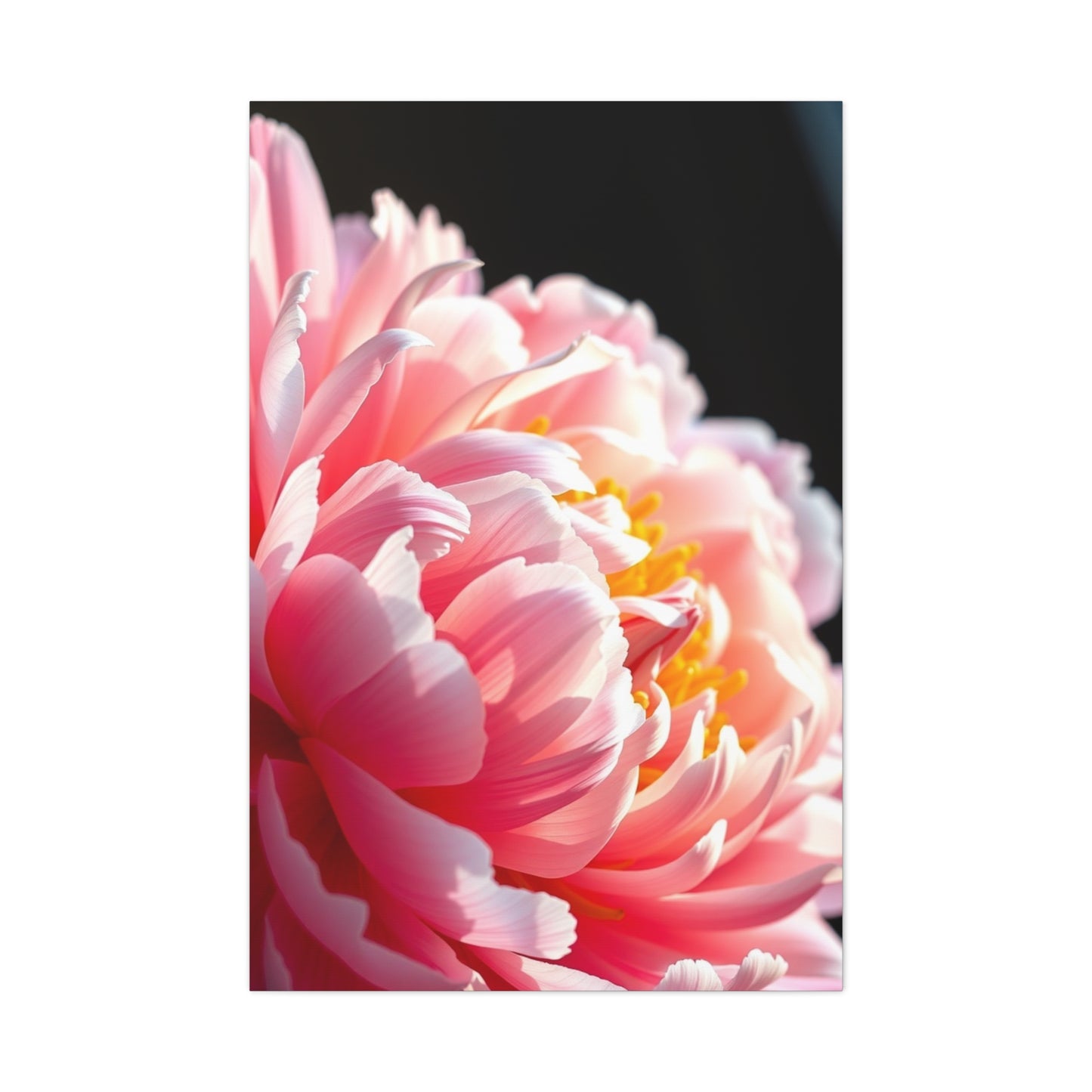 Opulent Peony Reverie Wall Art & Canvas Print
