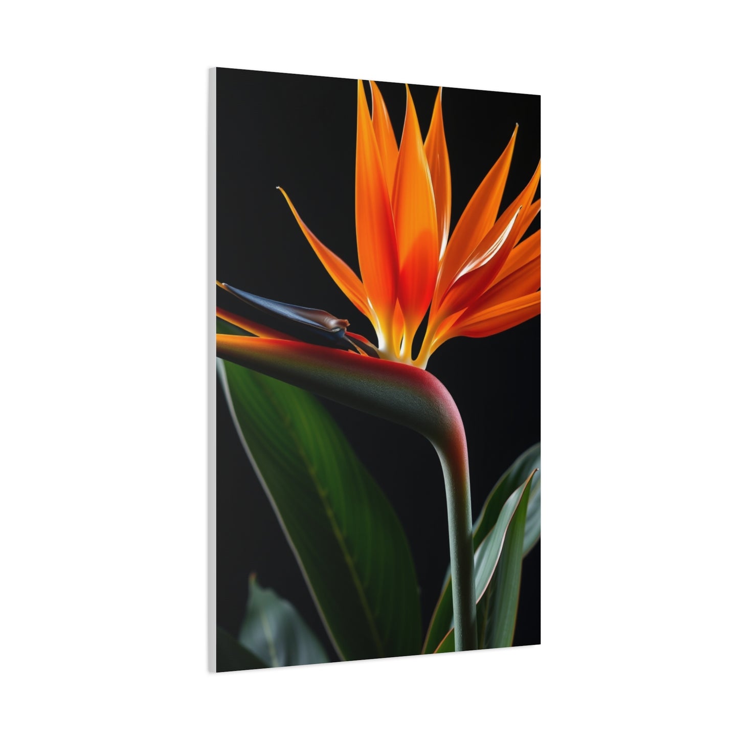 Masterpiece Bird of Paradise Plant Art Vision Wall Art & Canvas Print